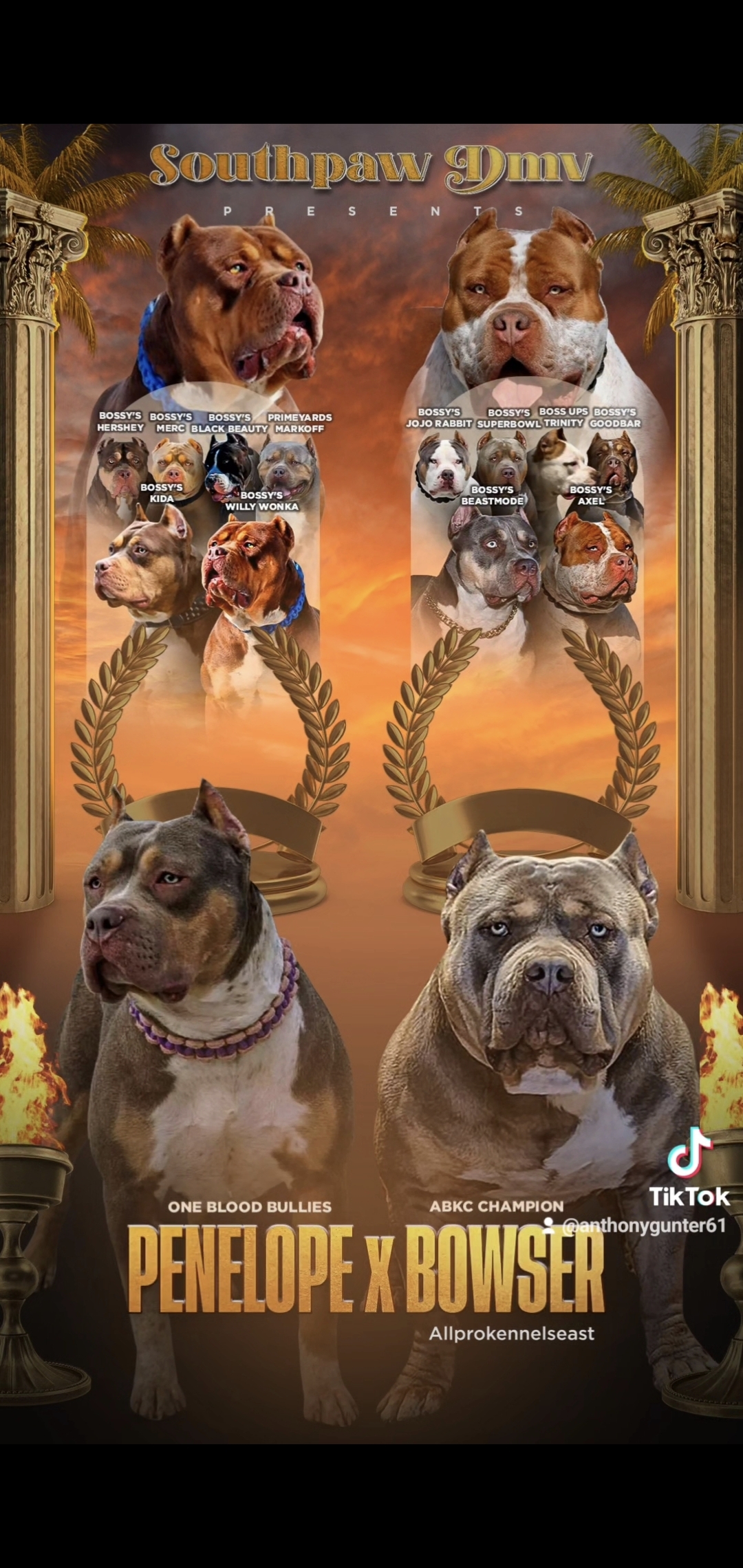 Dog Featured Image