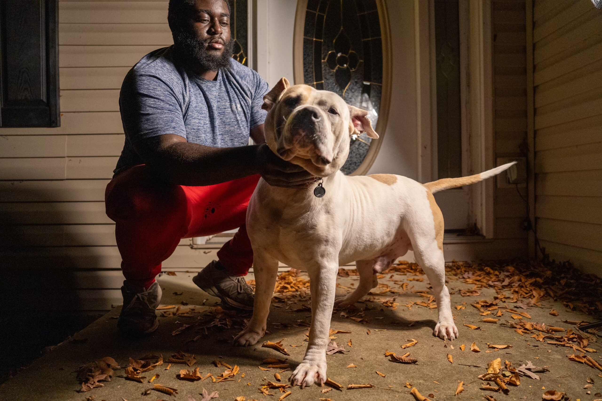 Dog Featured Image