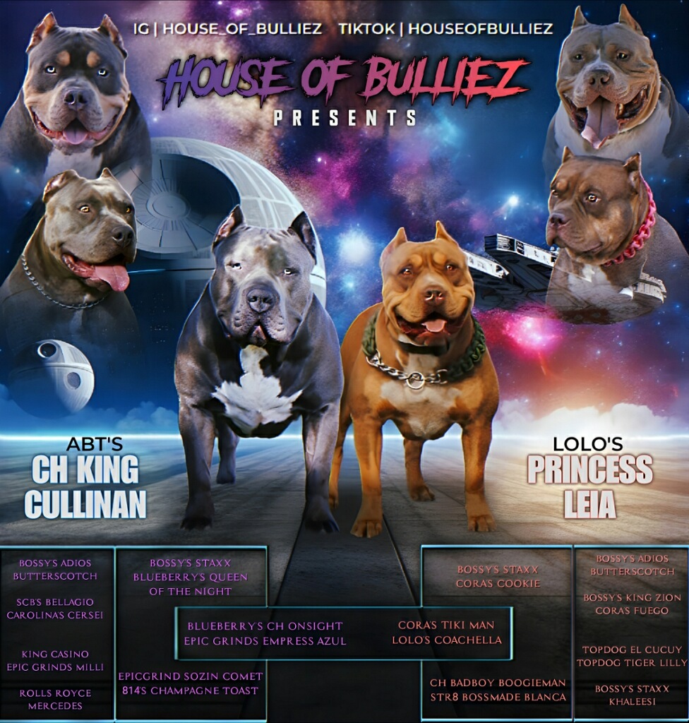 Dog Featured Image