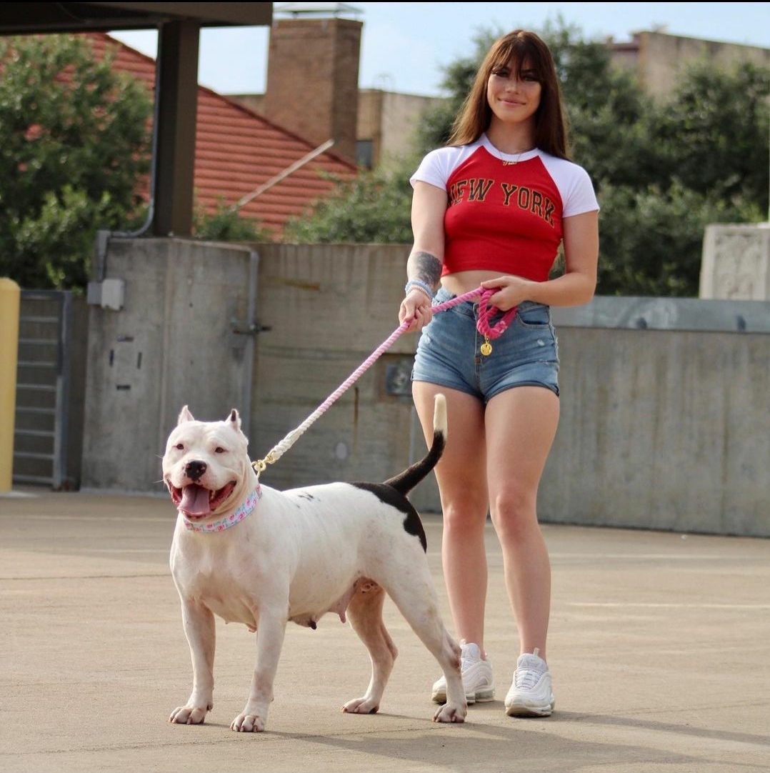 Dog Featured Image