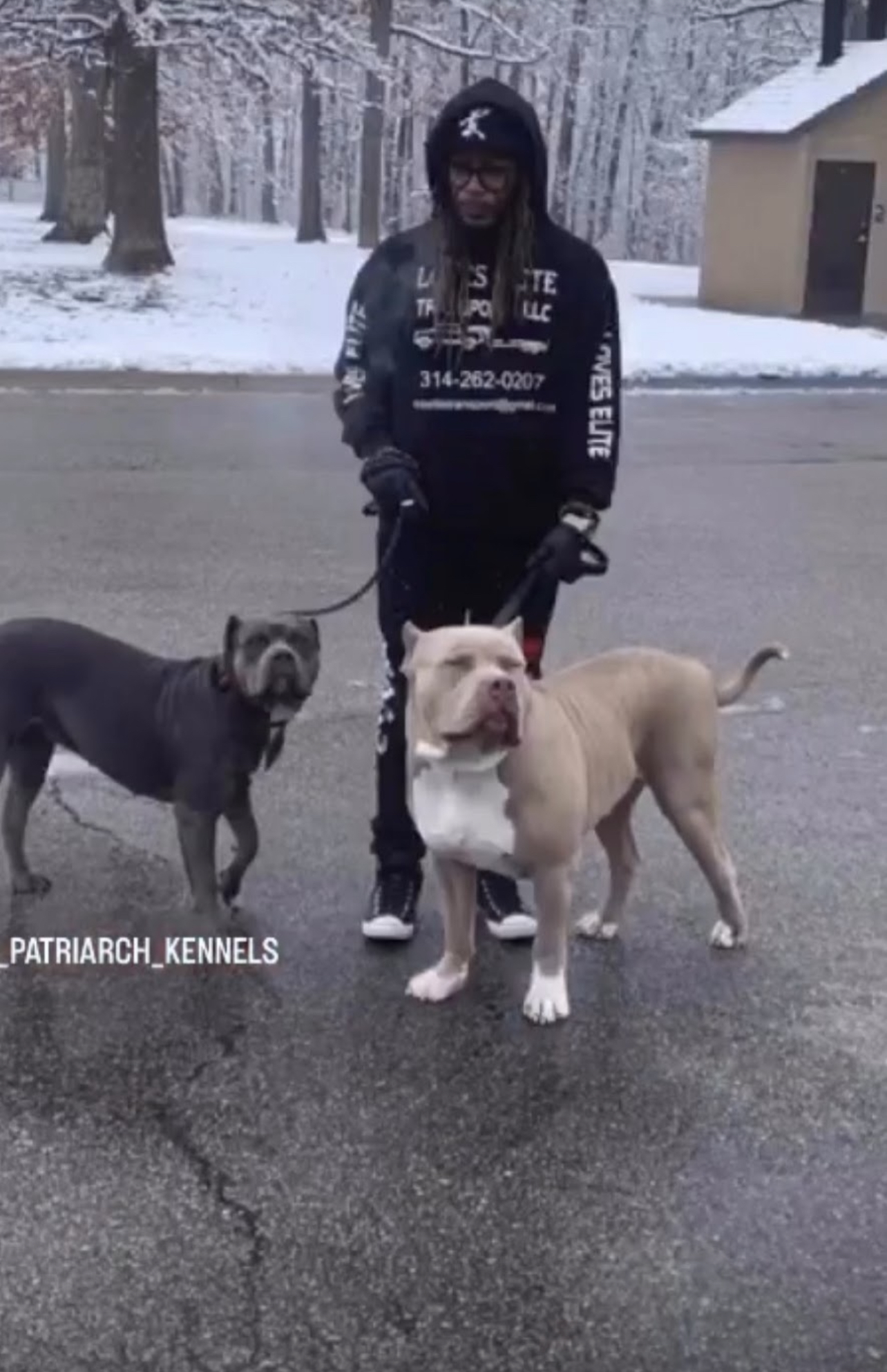 Dog Featured Image