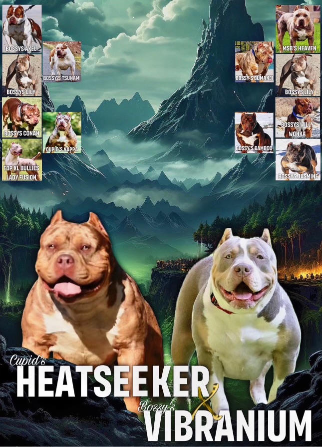 Dog Featured Image