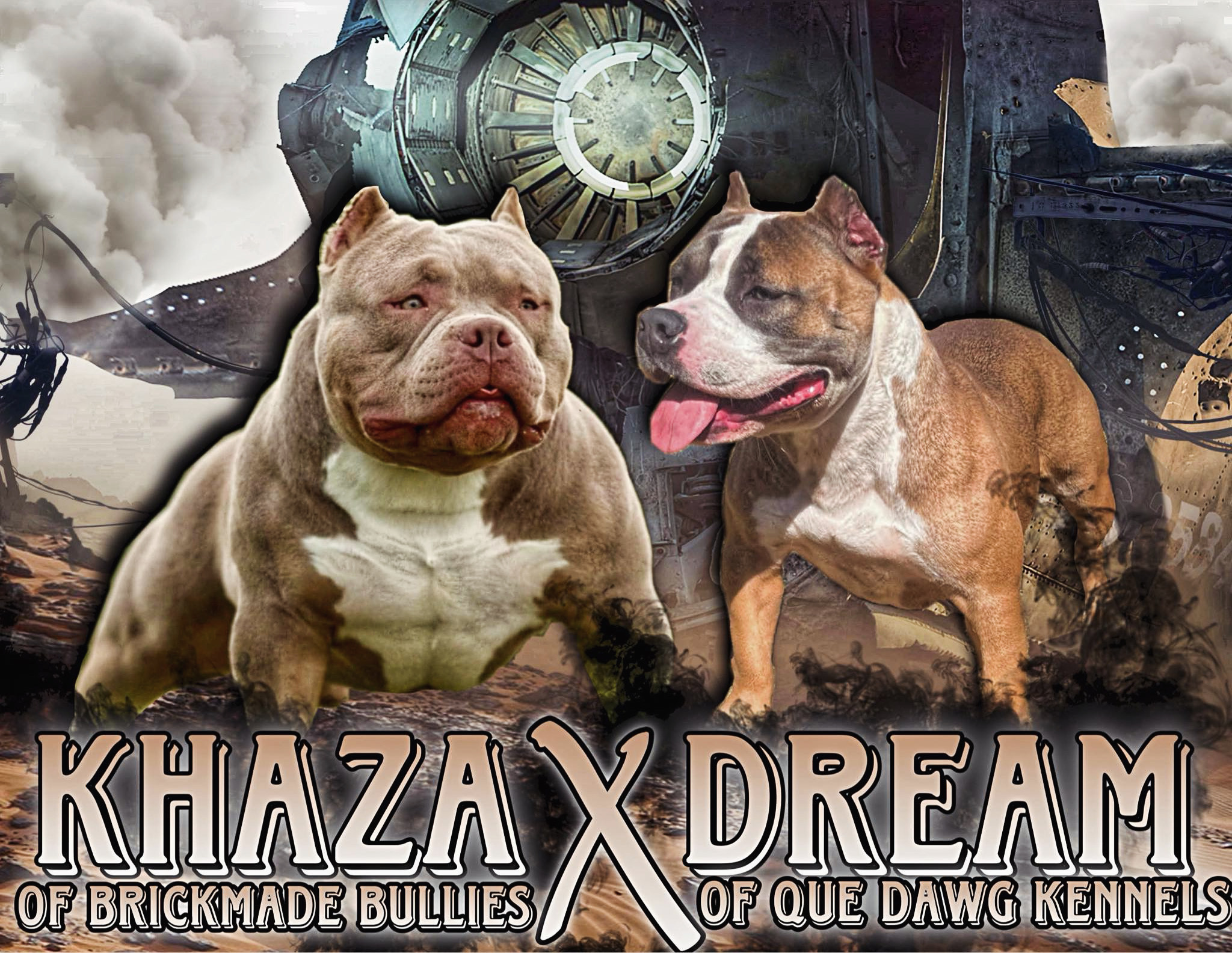 Dog Featured Image