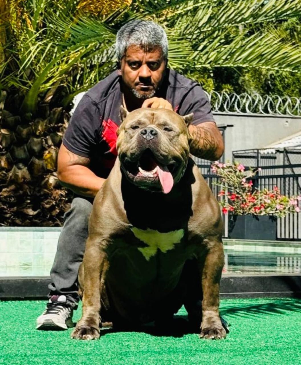Dog Featured Image