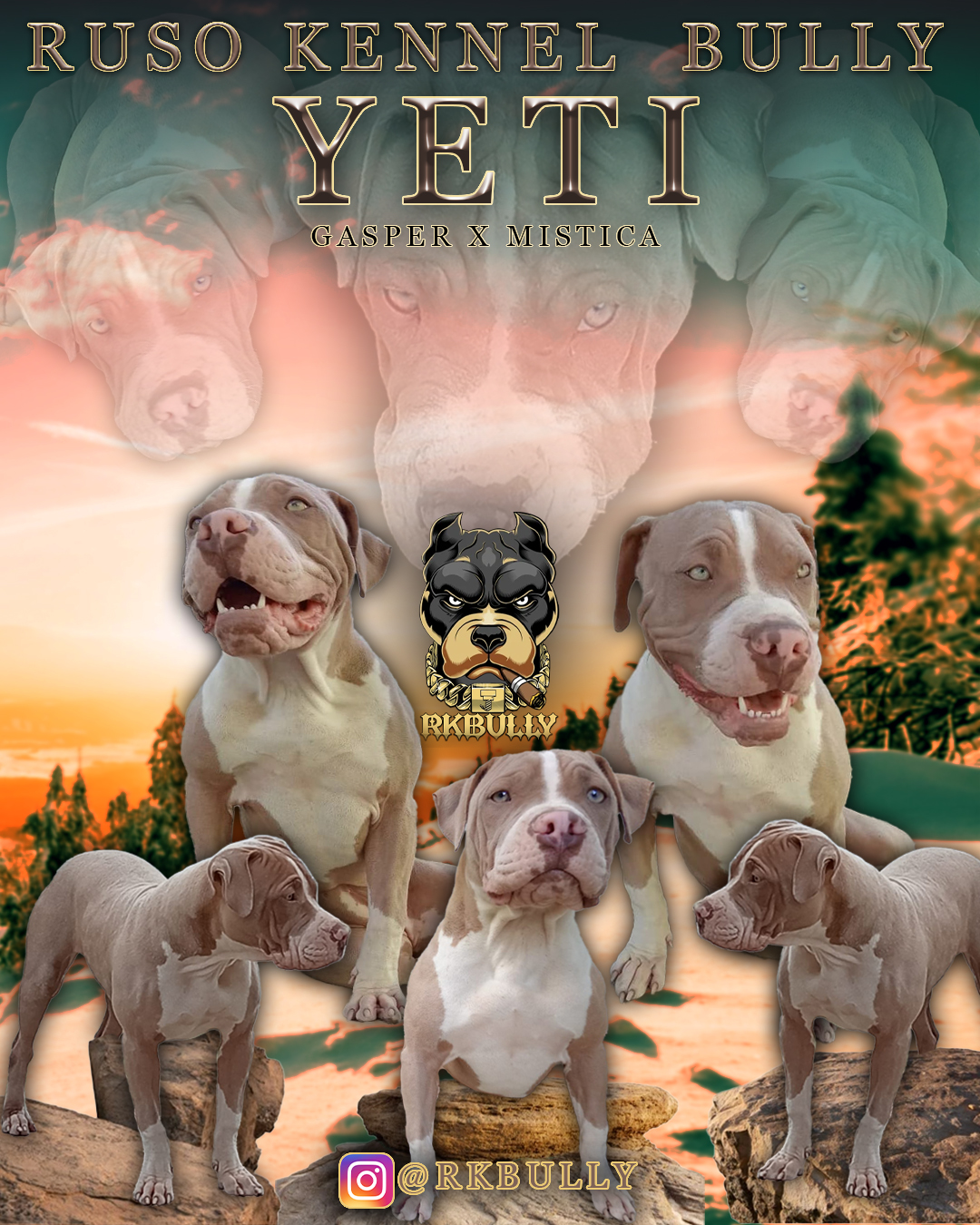 Dog Featured Image