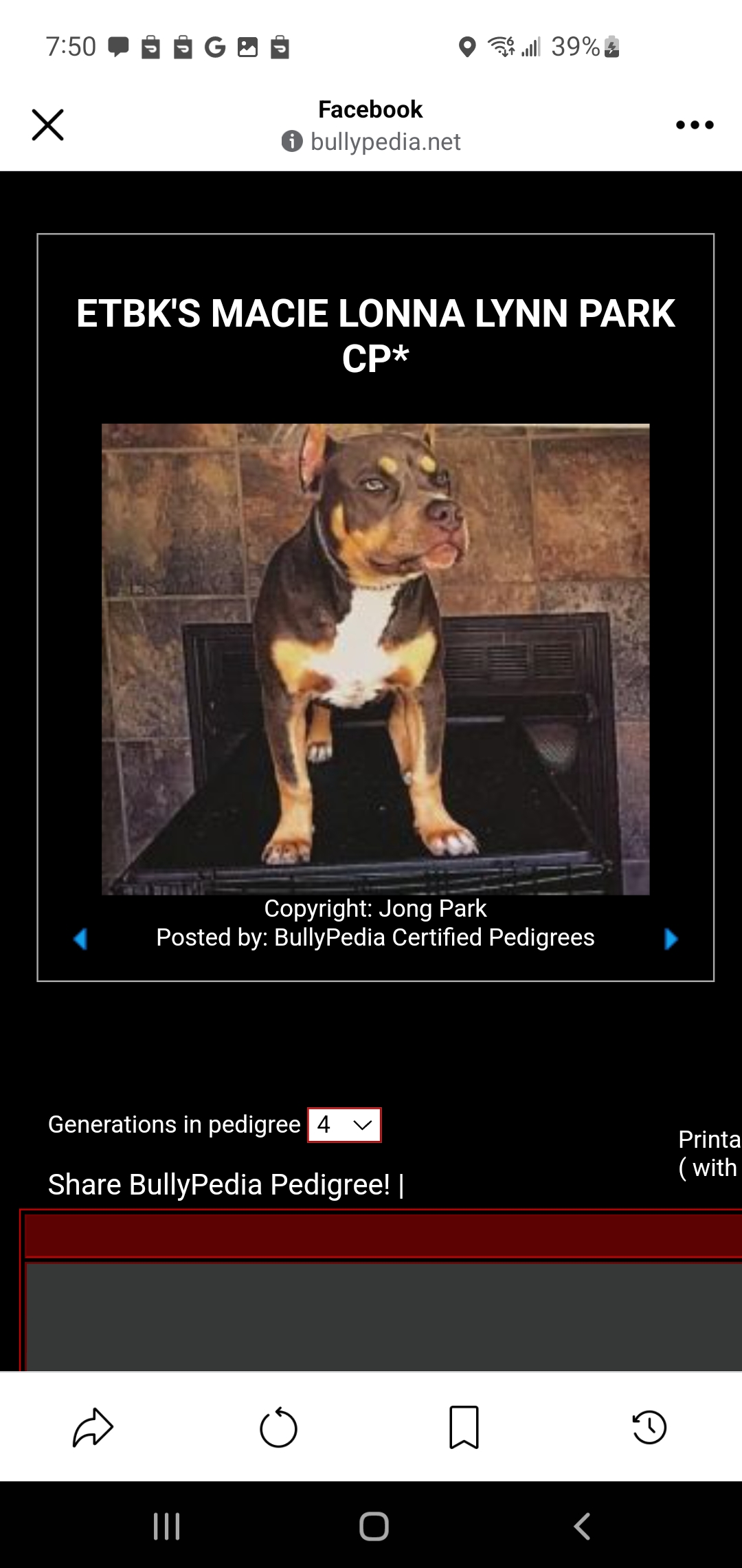 Dog Featured Image