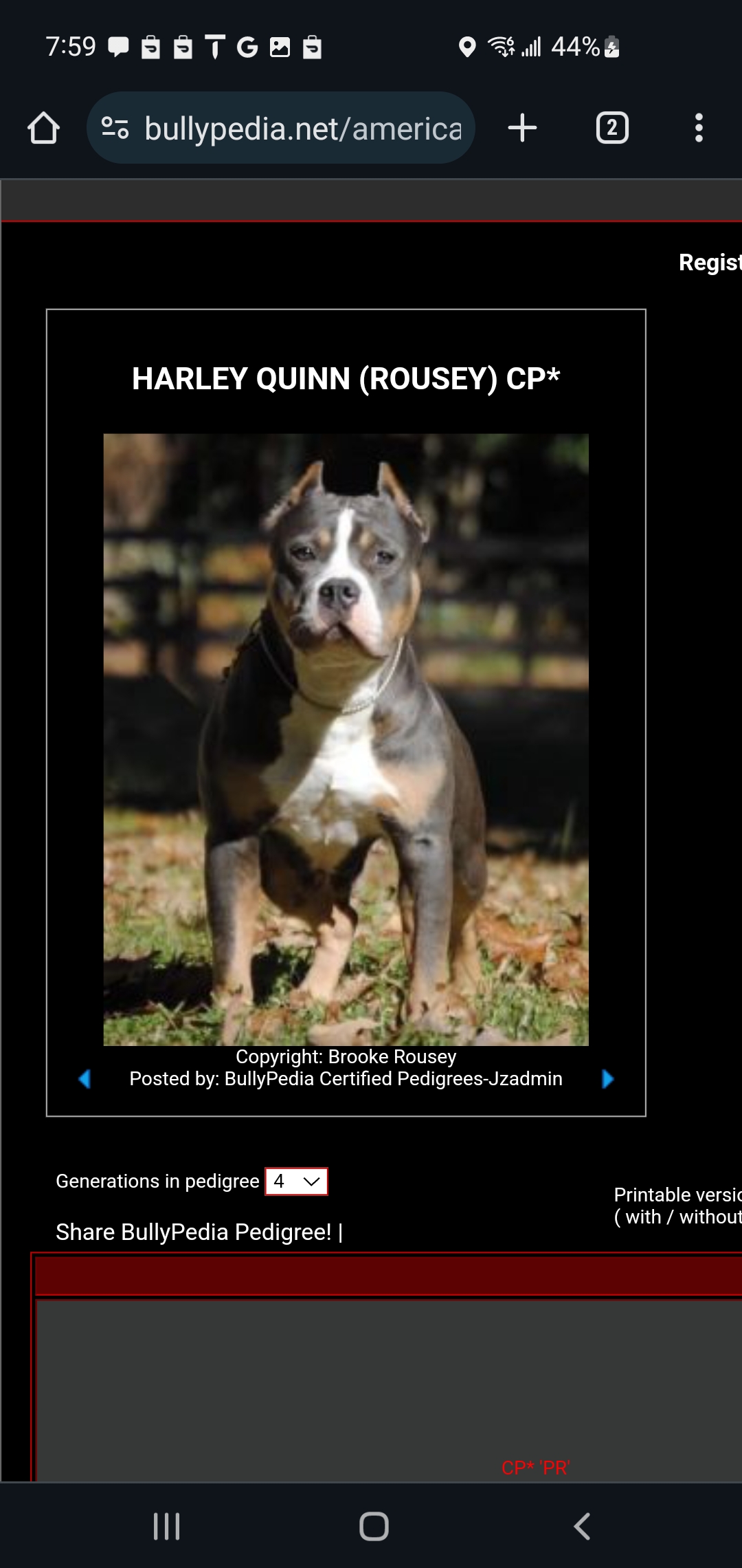 Dog Featured Image