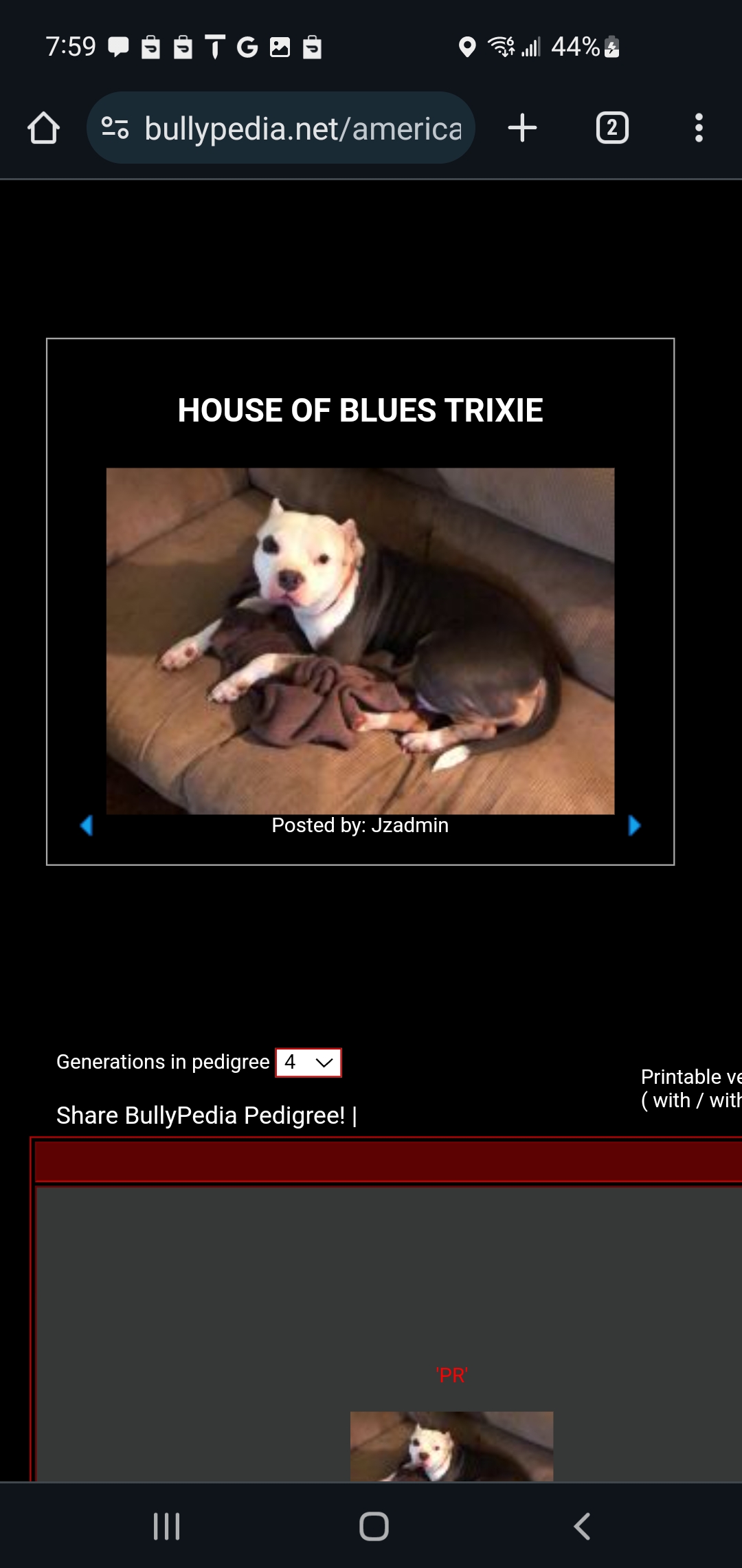 Dog Featured Image