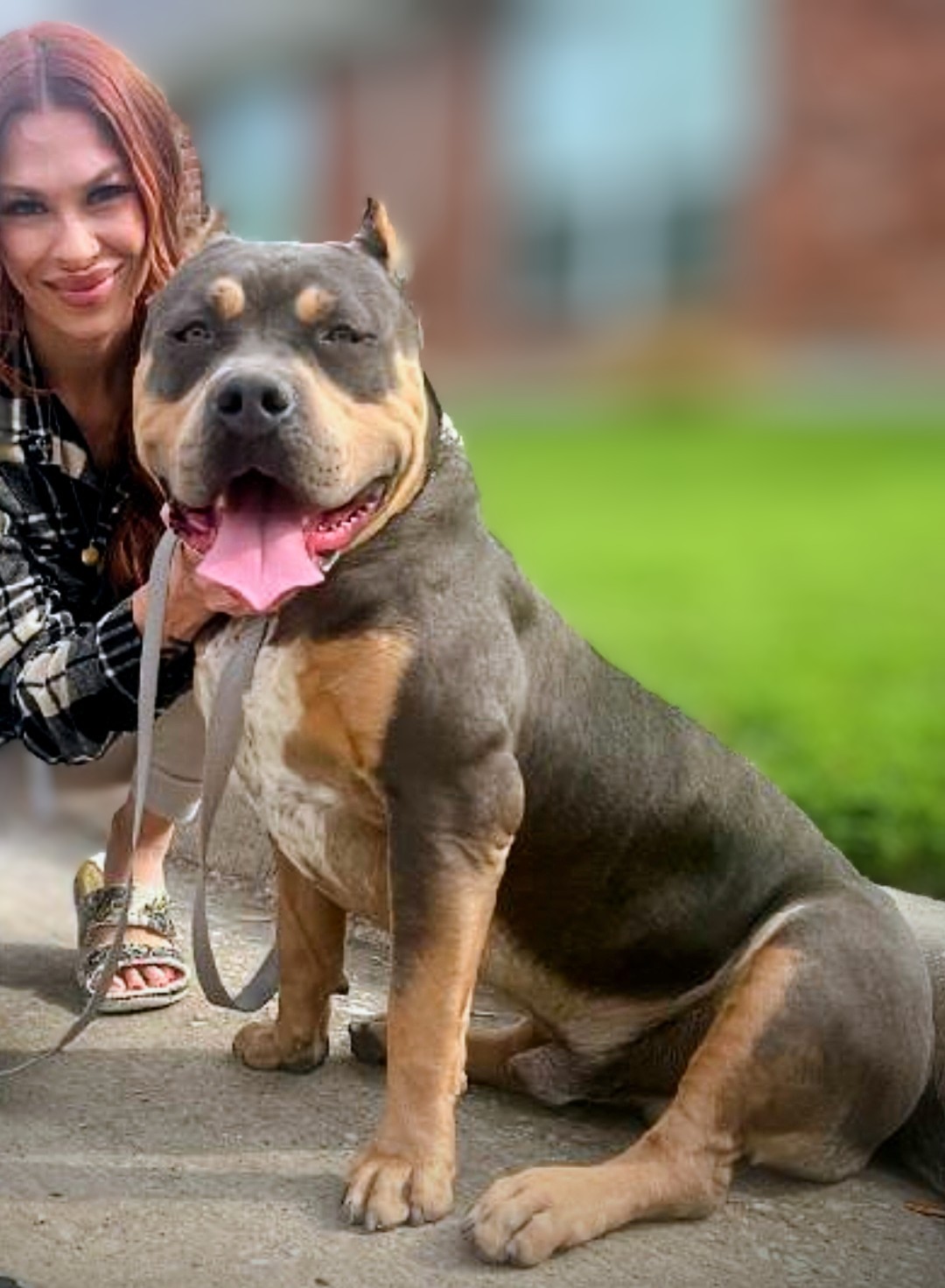 Dog Featured Image