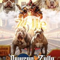Dog Featured Image