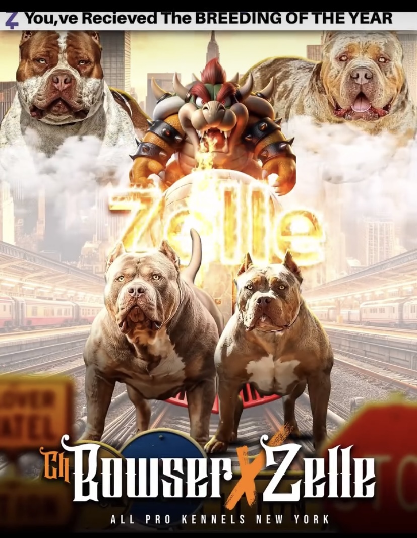Dog Featured Image
