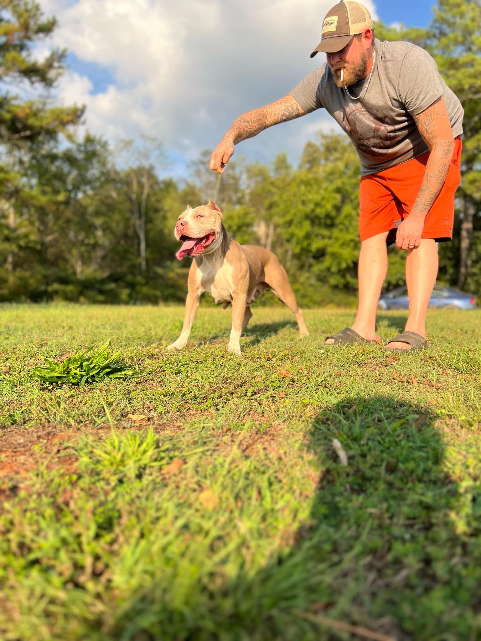 Dog Featured Image