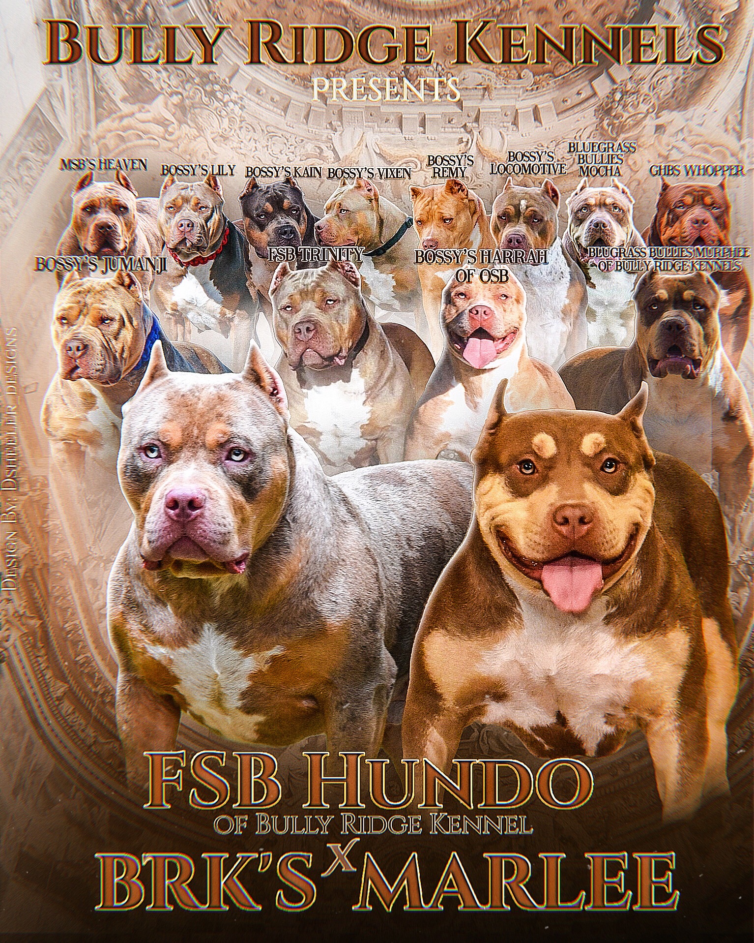 Dog Featured Image