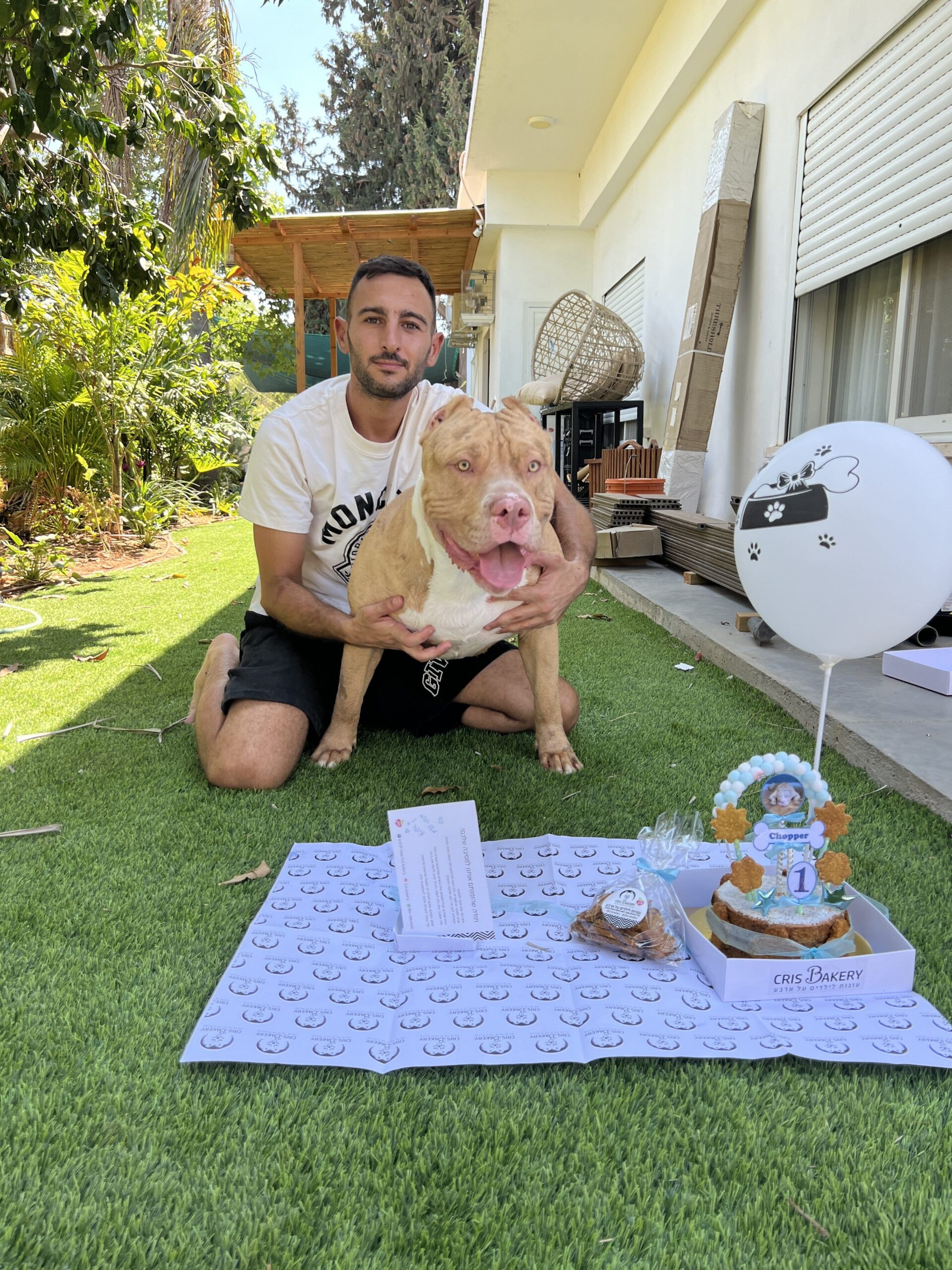 Additional Dog Image