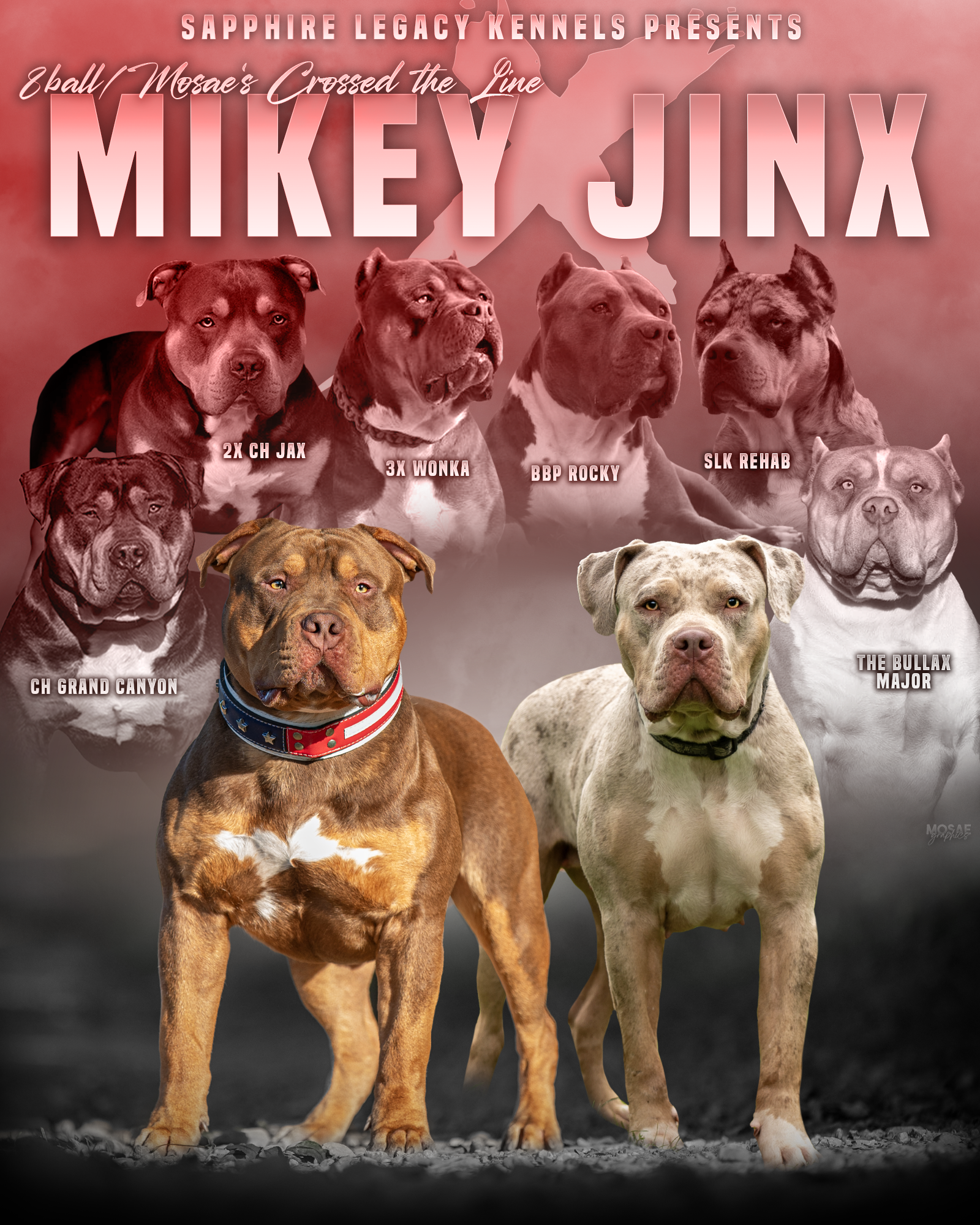 Dog Featured Image