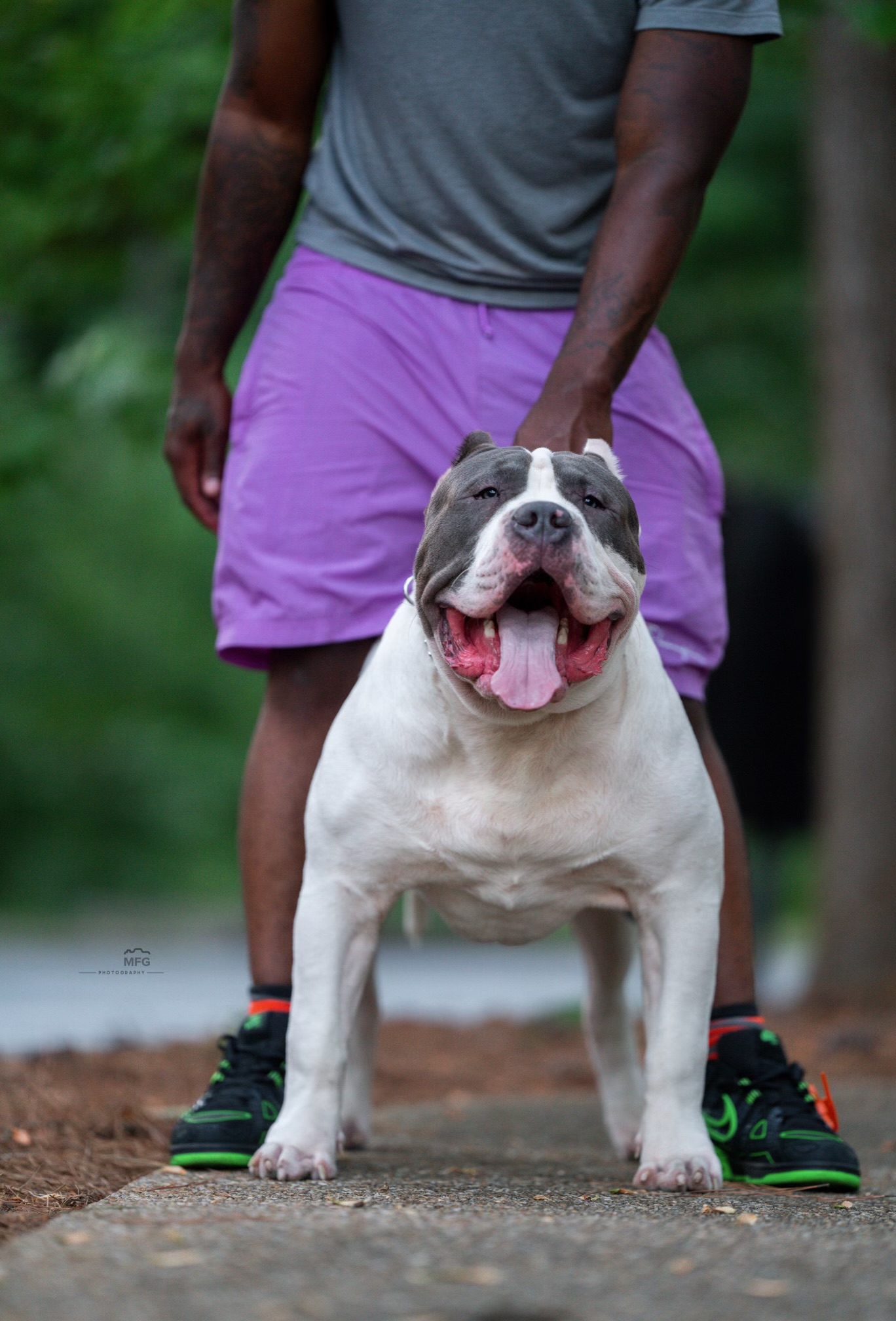 Dog Featured Image