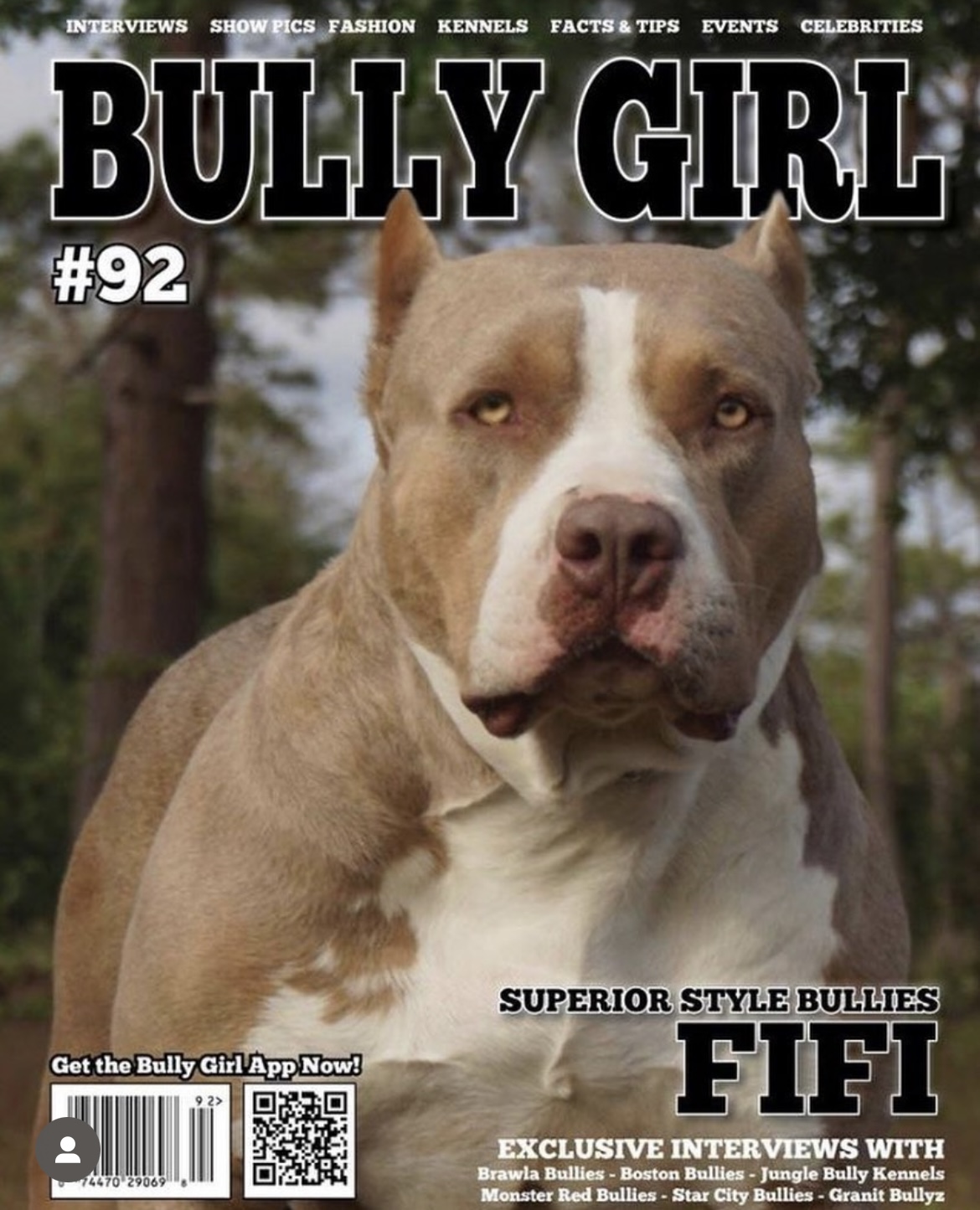 Dog Featured Image