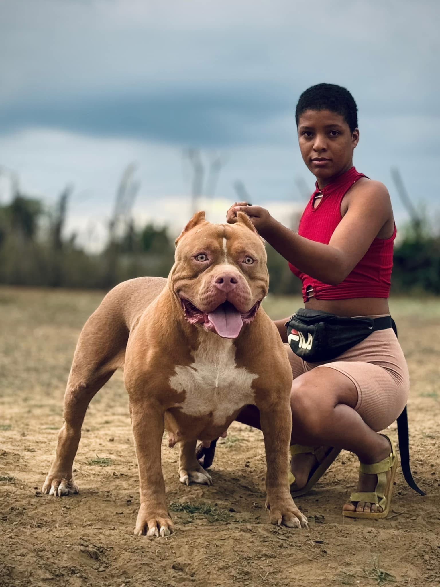 Dog Featured Image