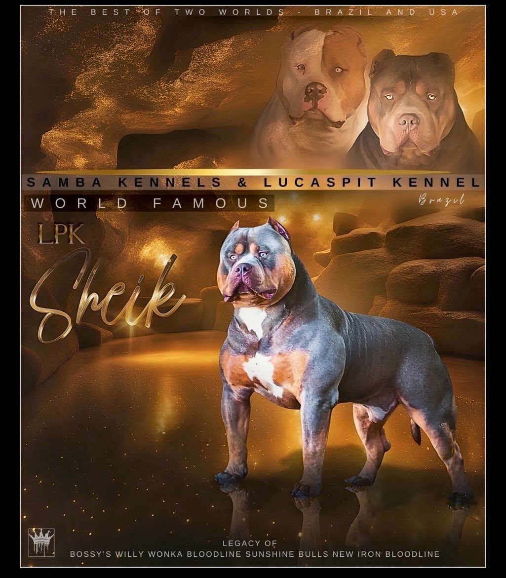 Dog Featured Image
