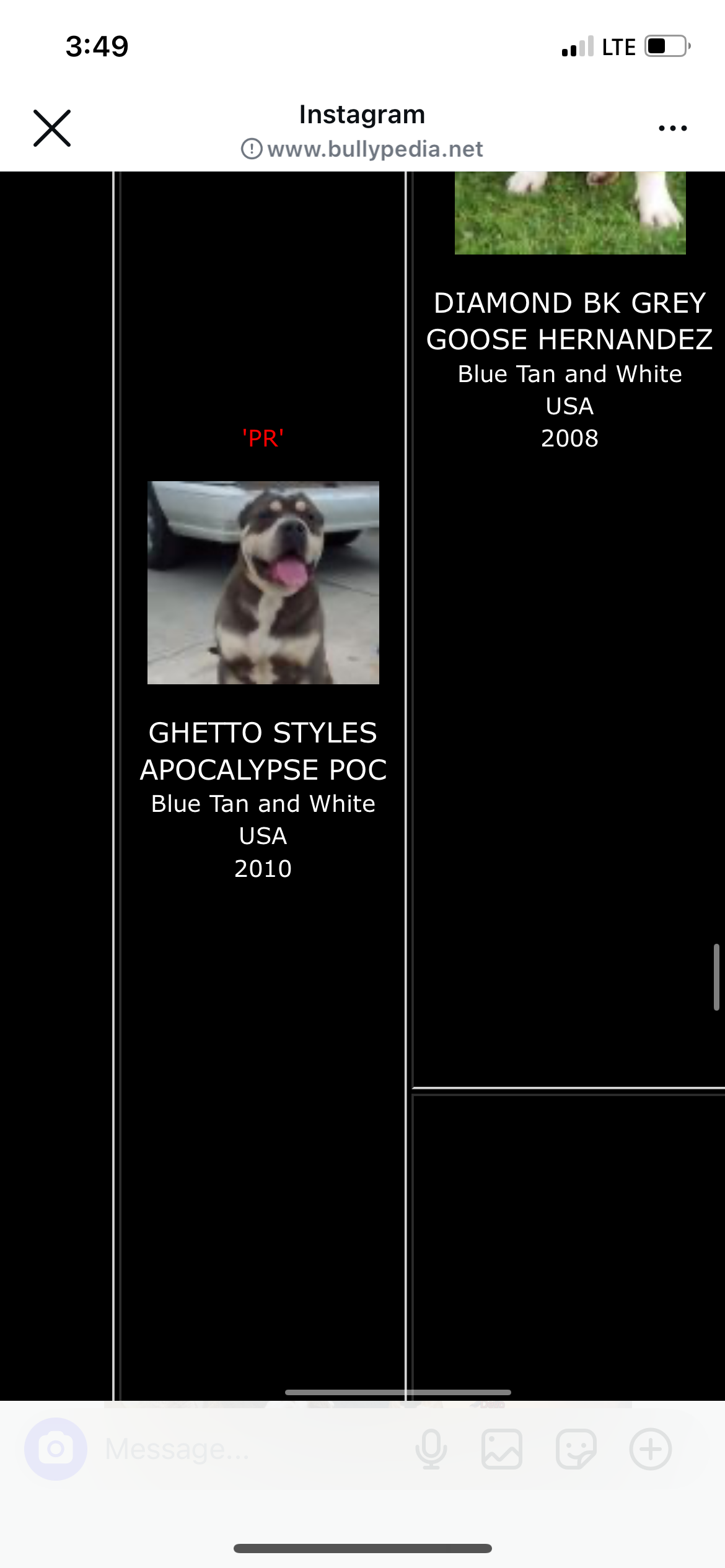 Dog Featured Image