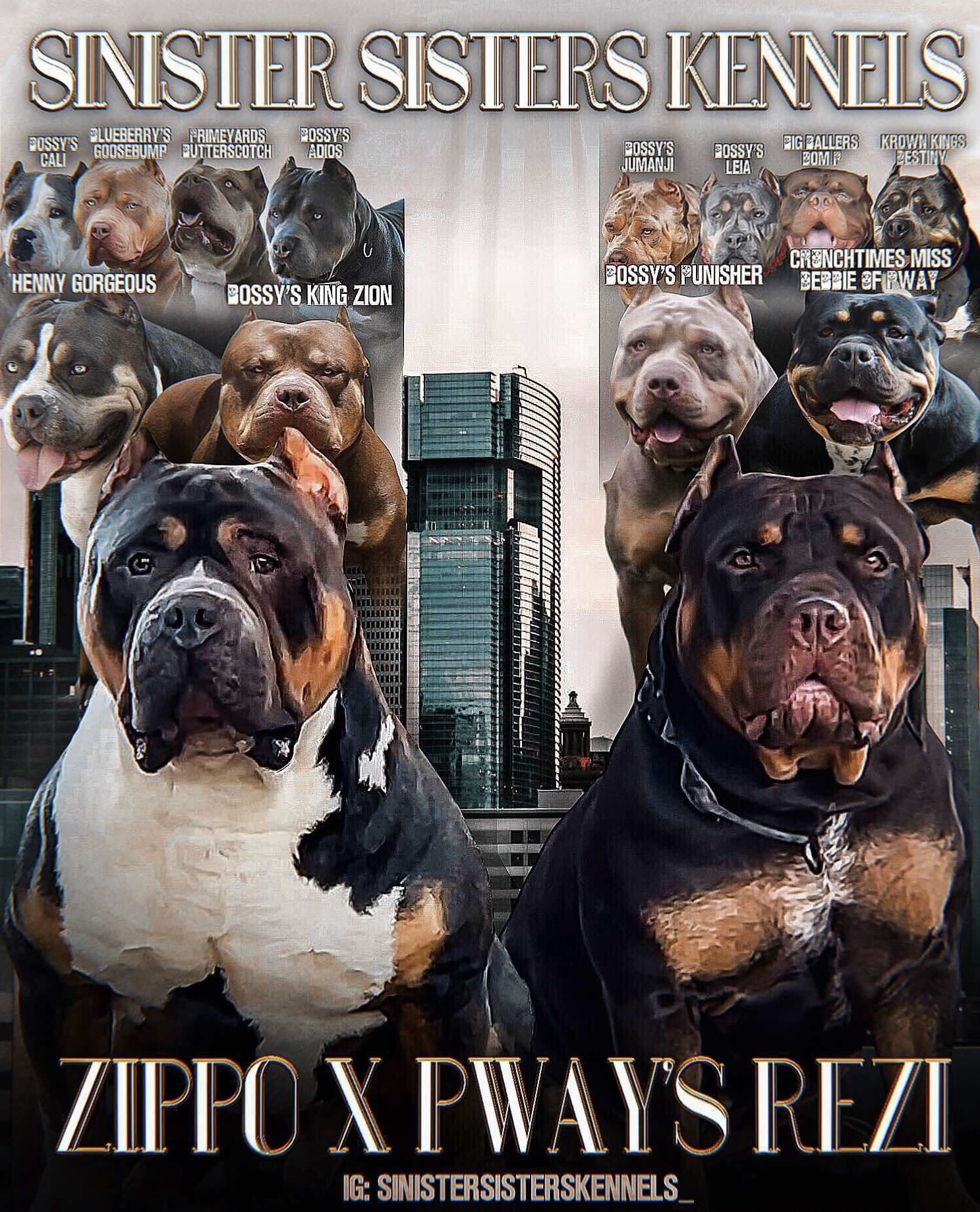 Dog Featured Image
