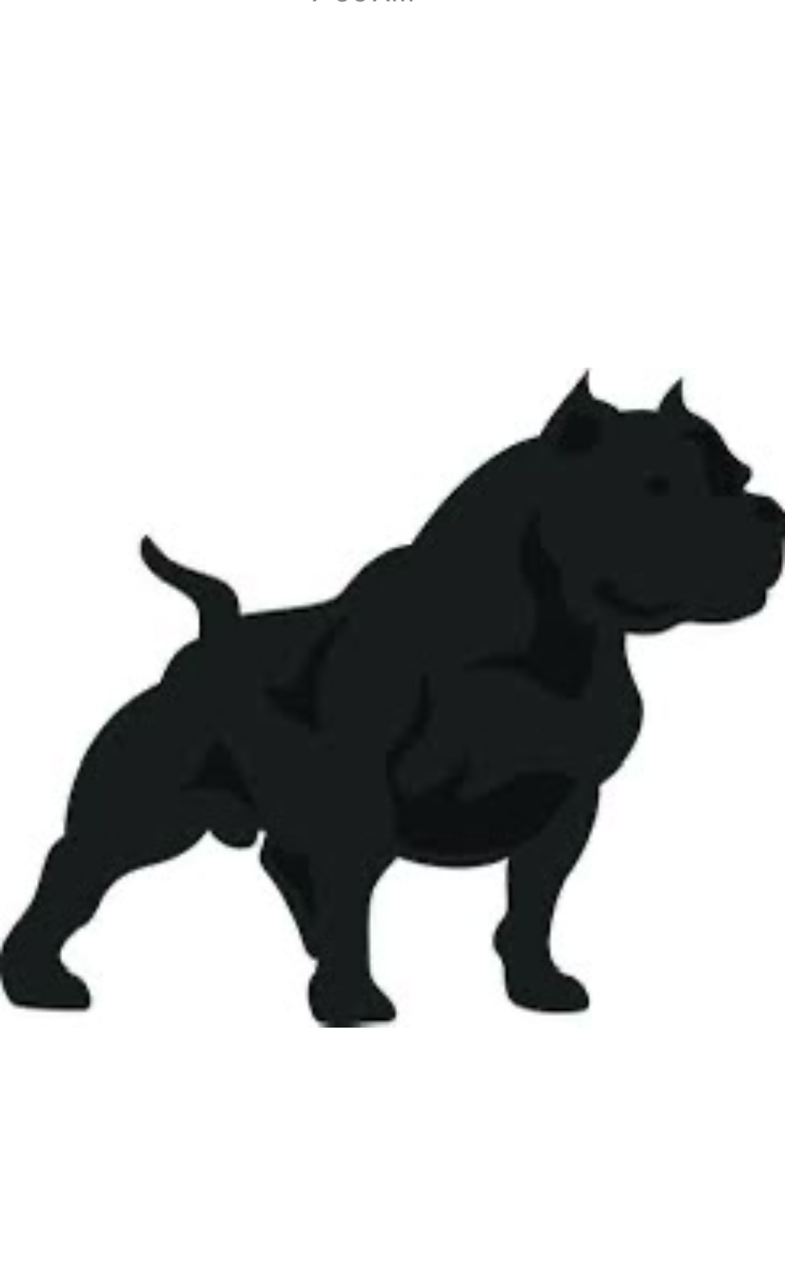 Dog Featured Image
