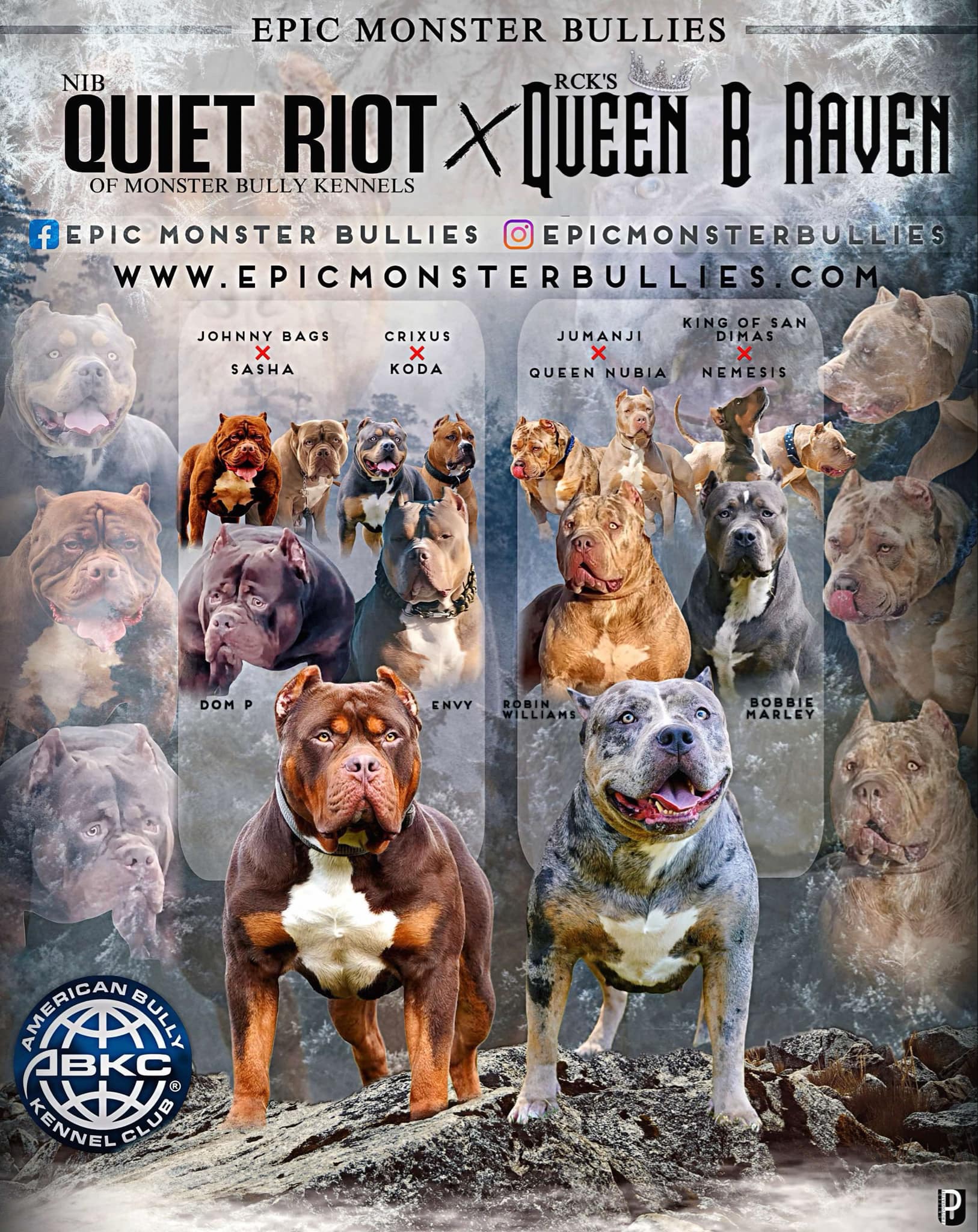 Dog Featured Image