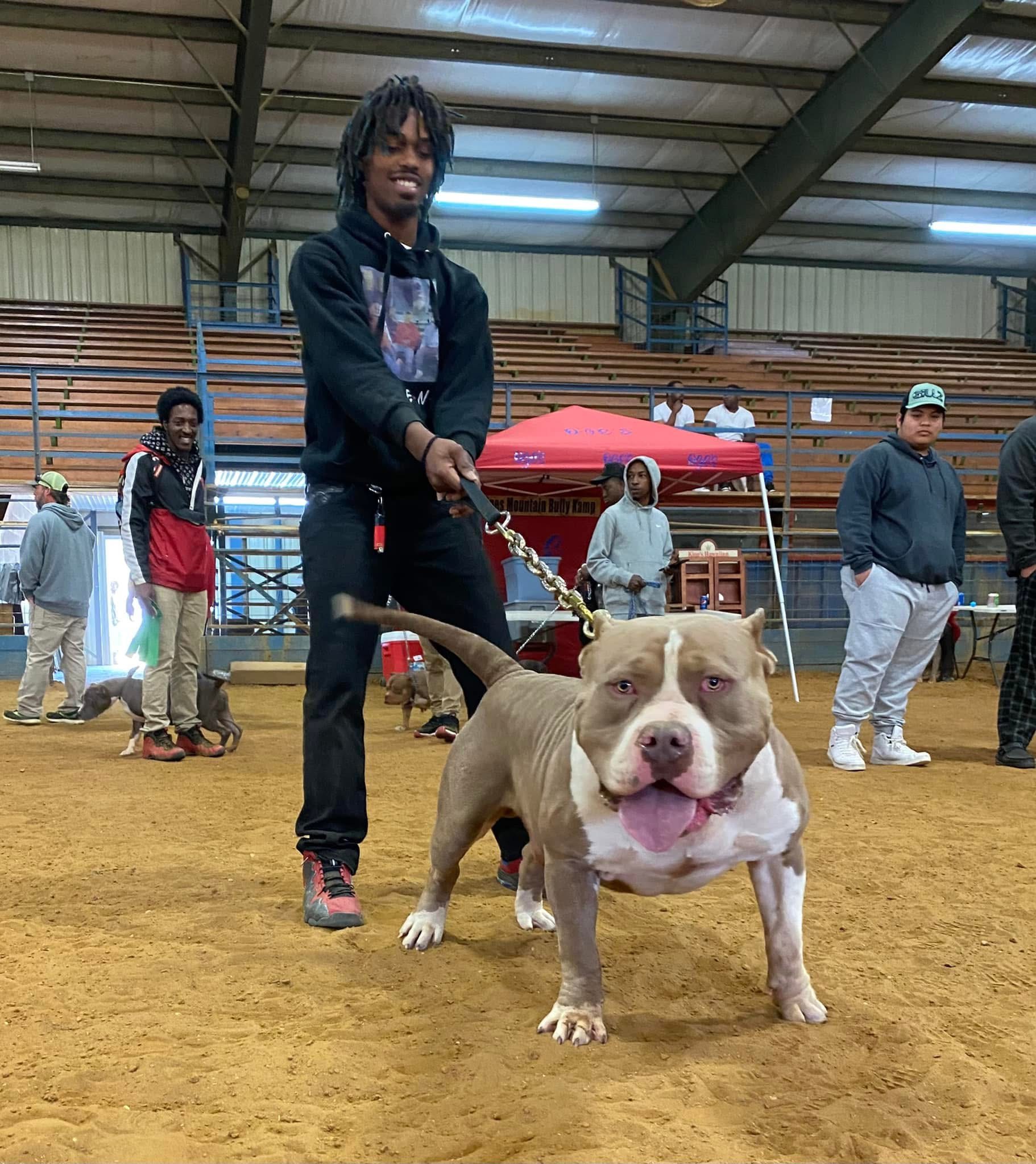 Dog Featured Image