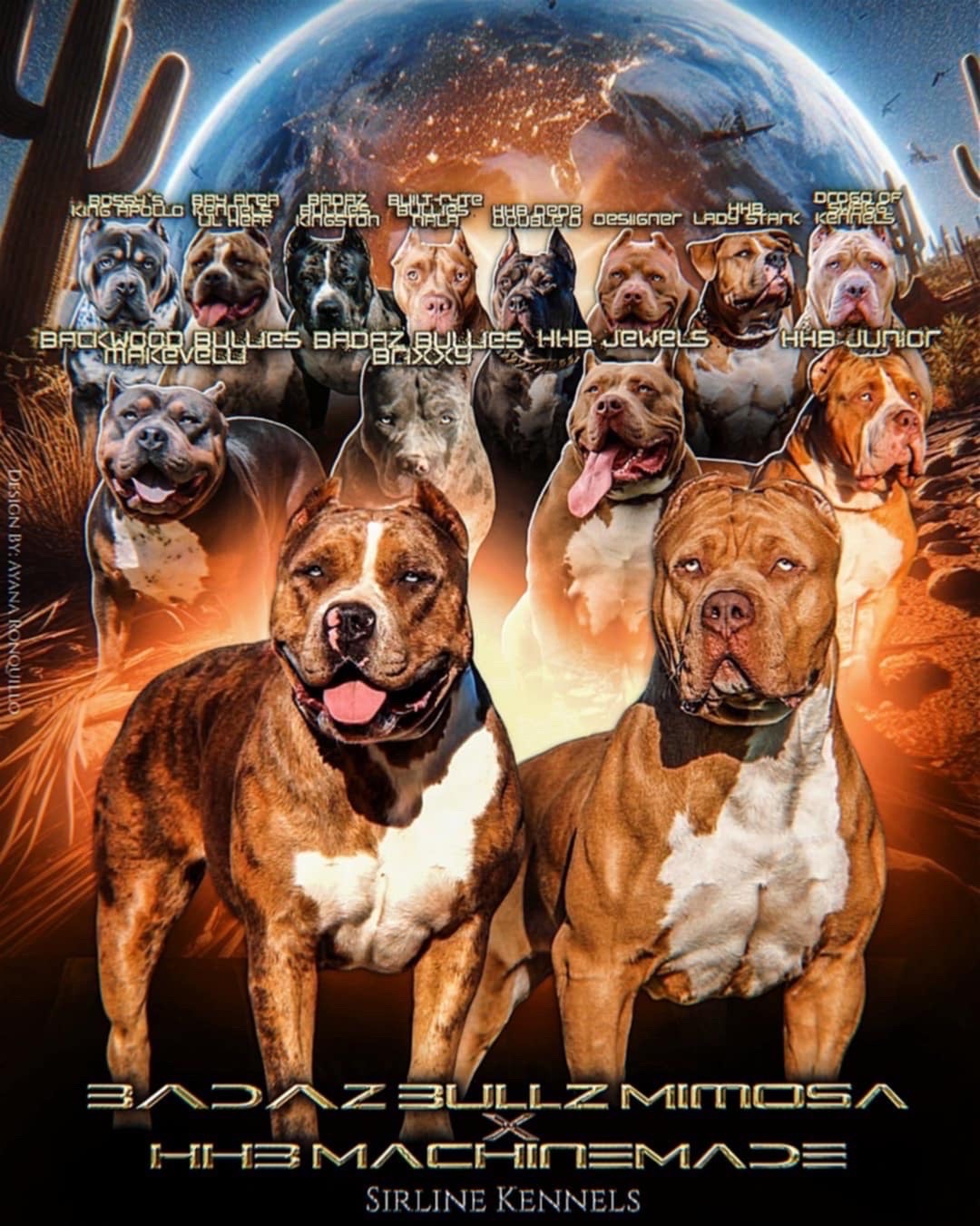 Dog Featured Image