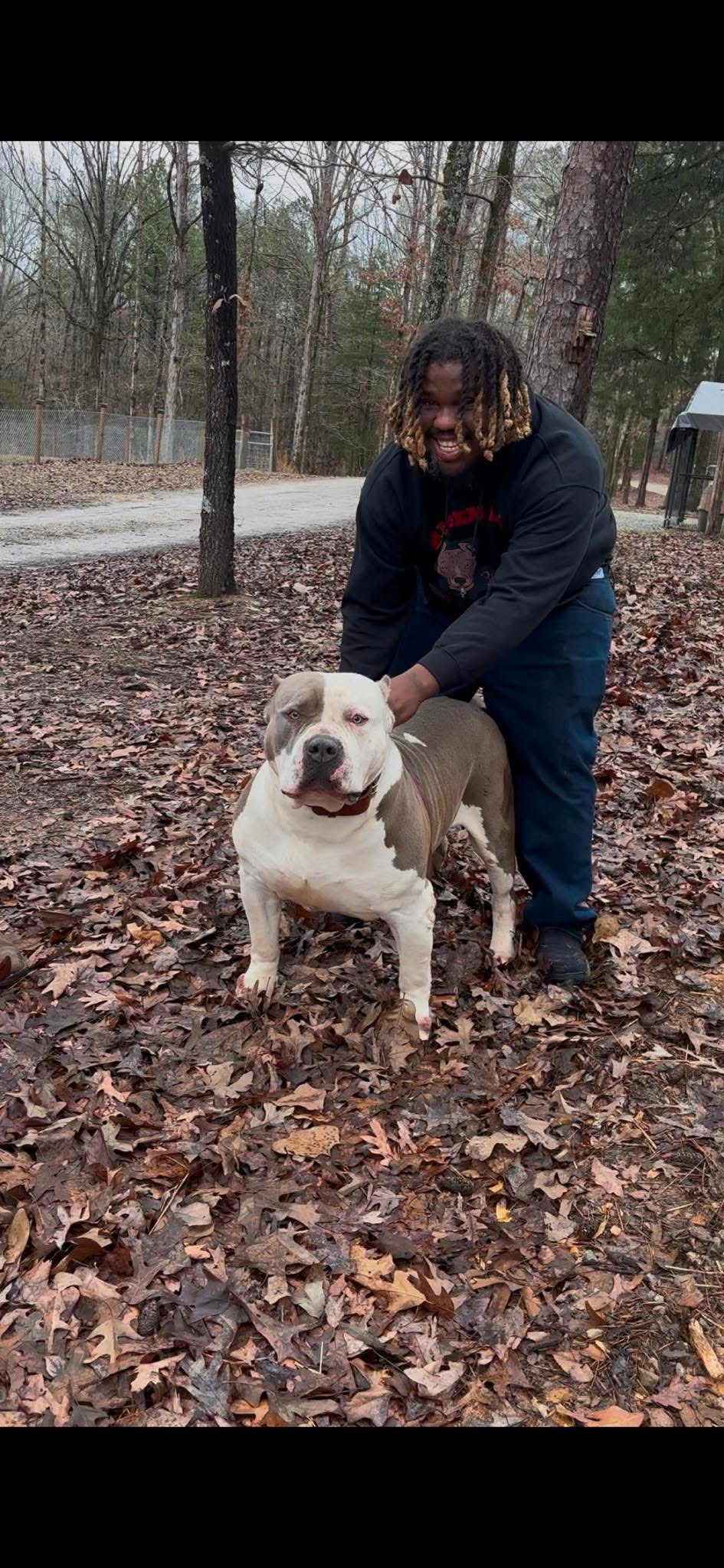Dog Featured Image