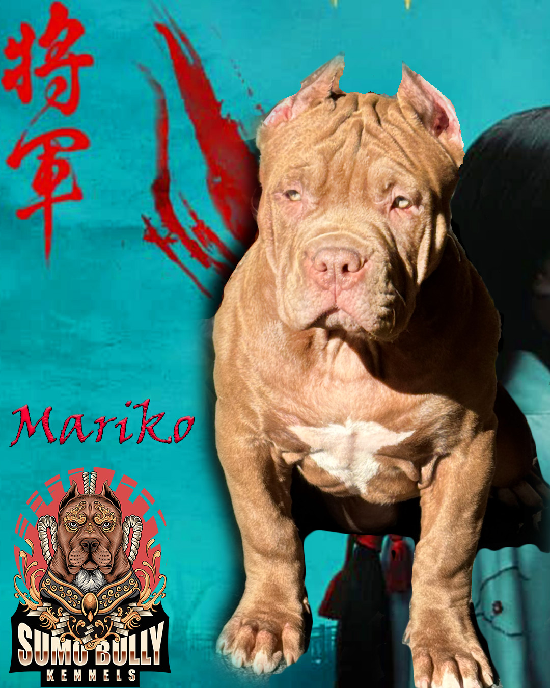 Dog Featured Image