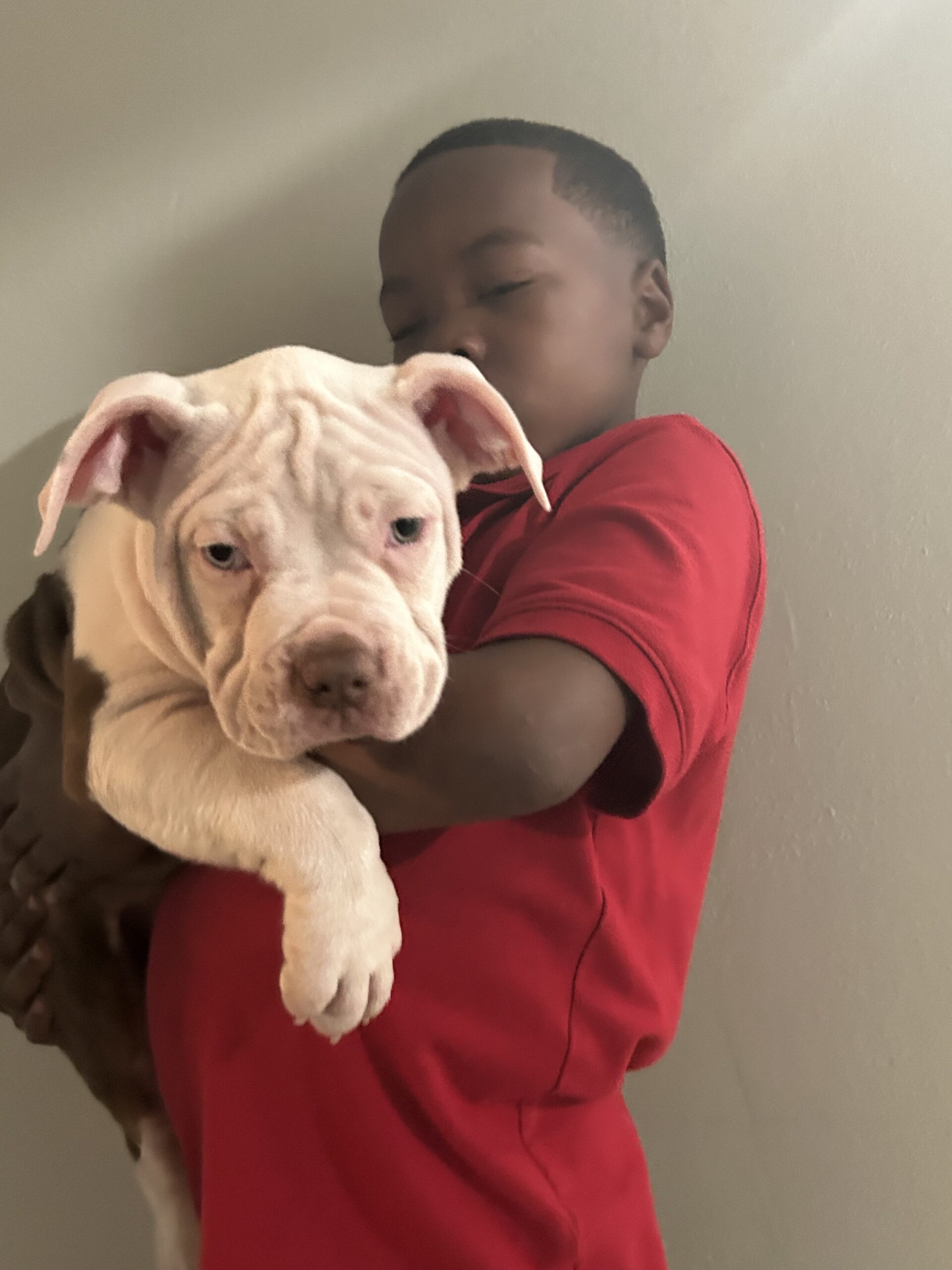 Dog Featured Image