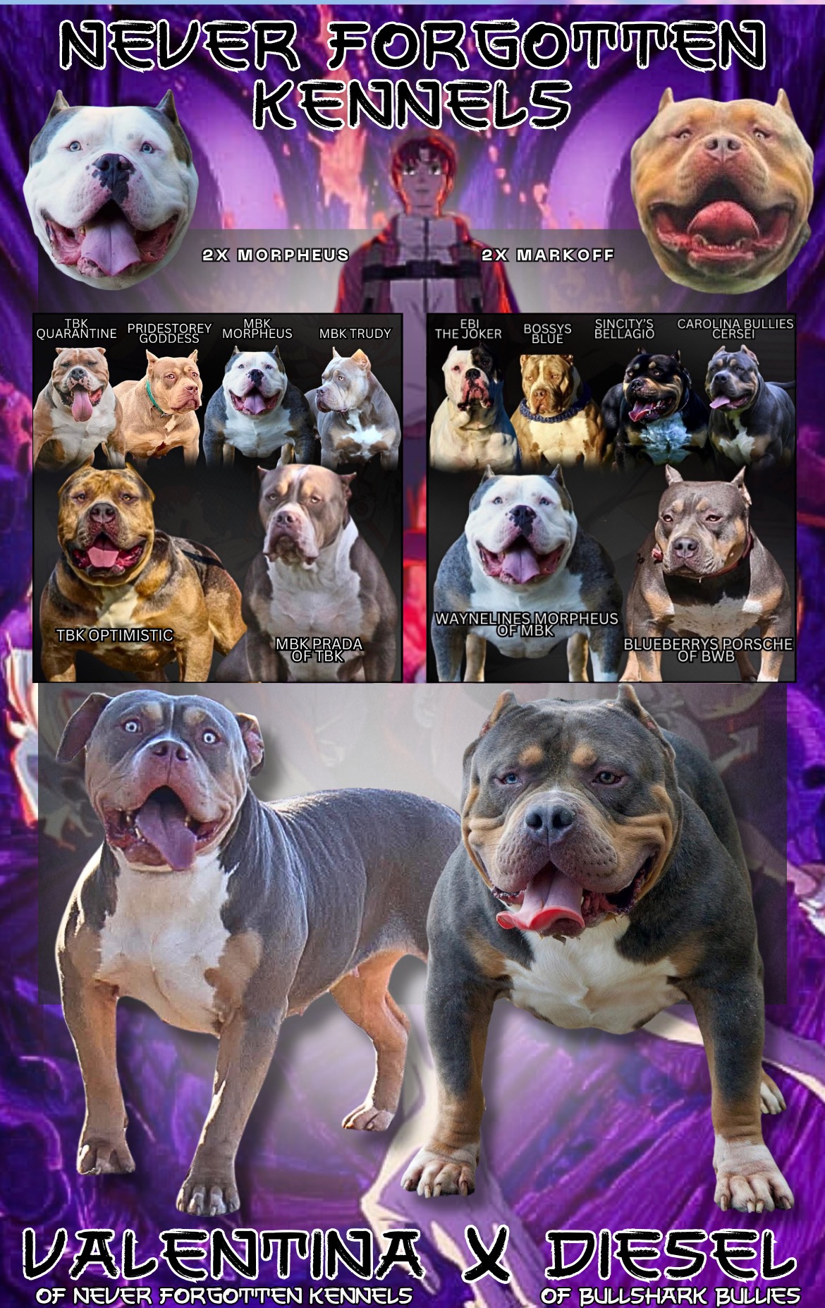 Dog Featured Image