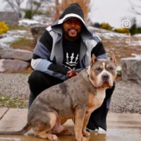 Dog Featured Image