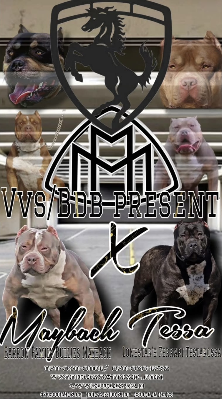 Dog Featured Image