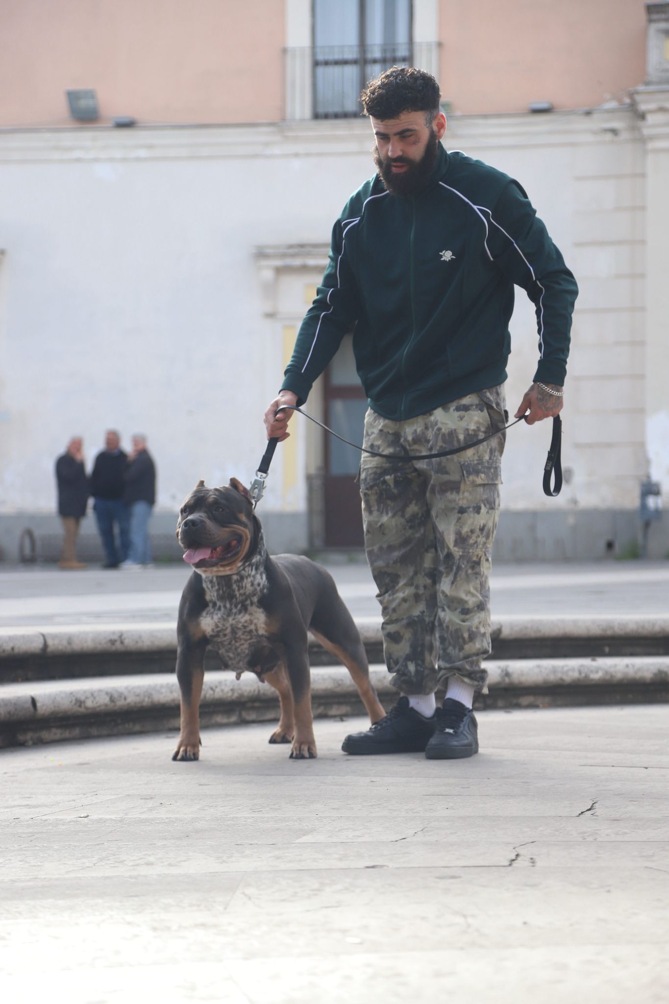 Dog Featured Image