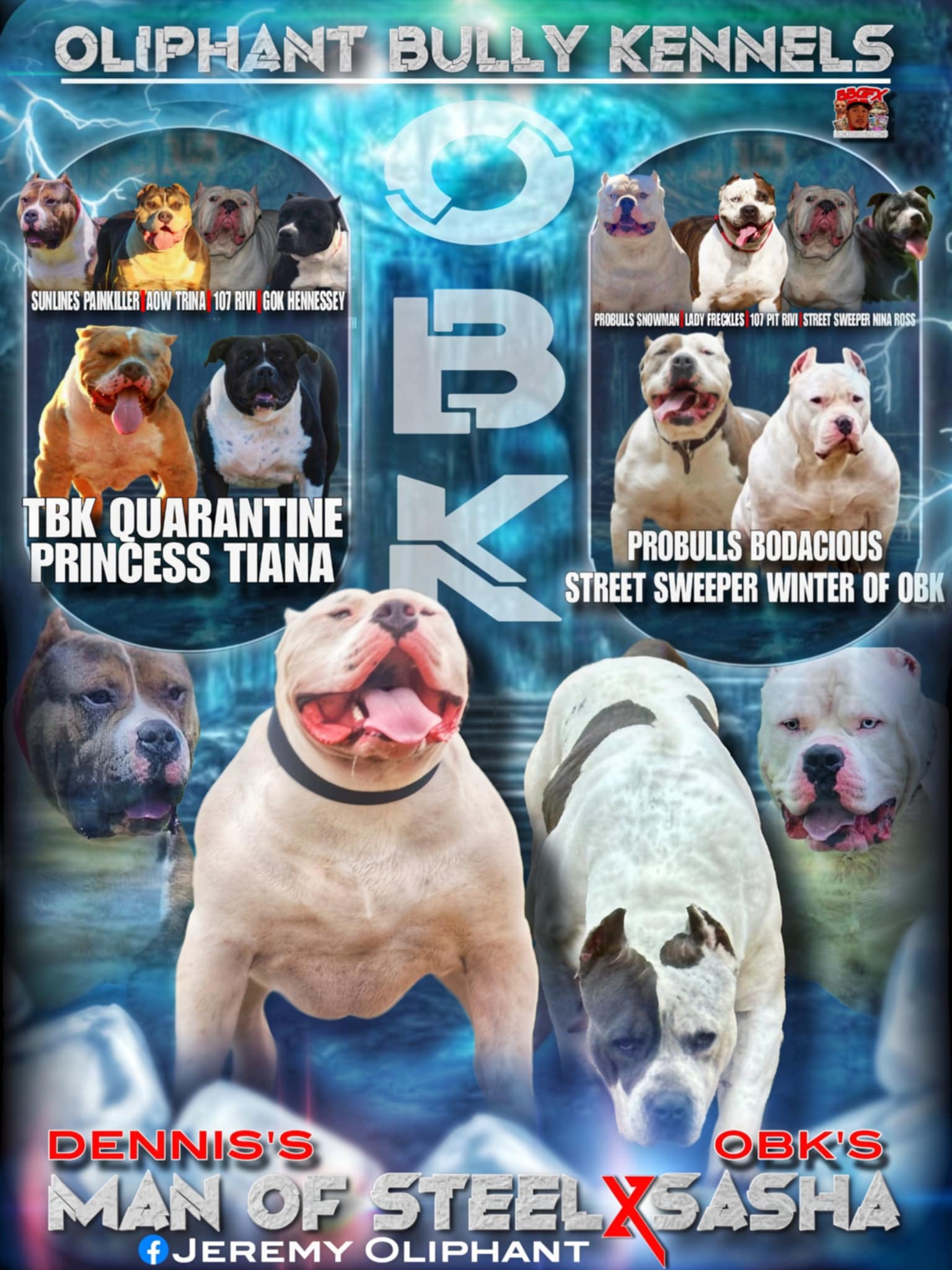 Dog Featured Image