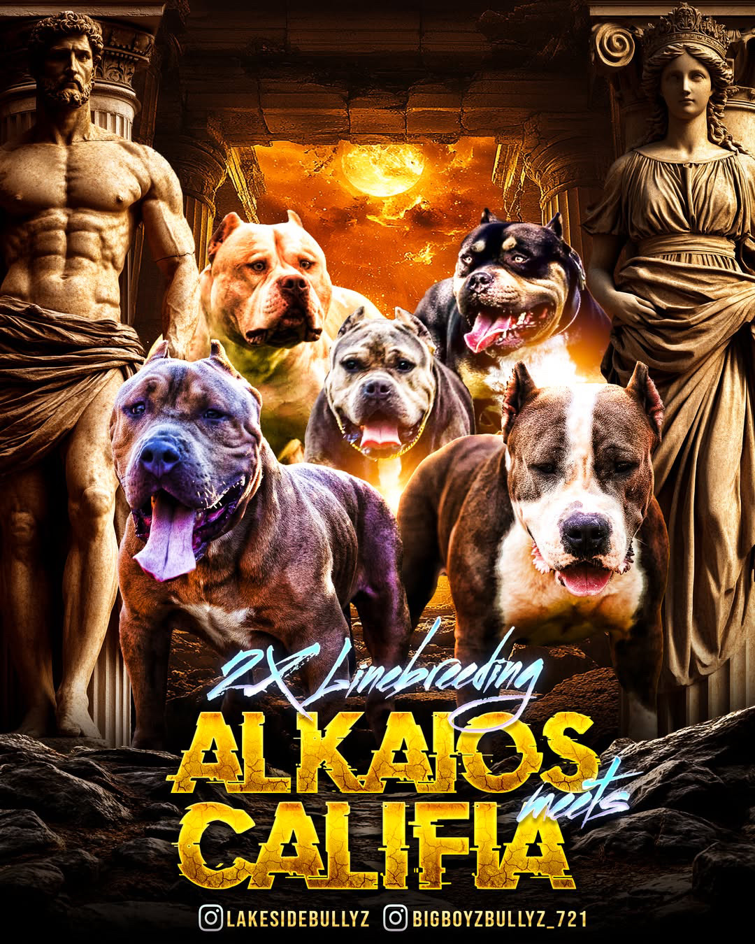 Dog Featured Image