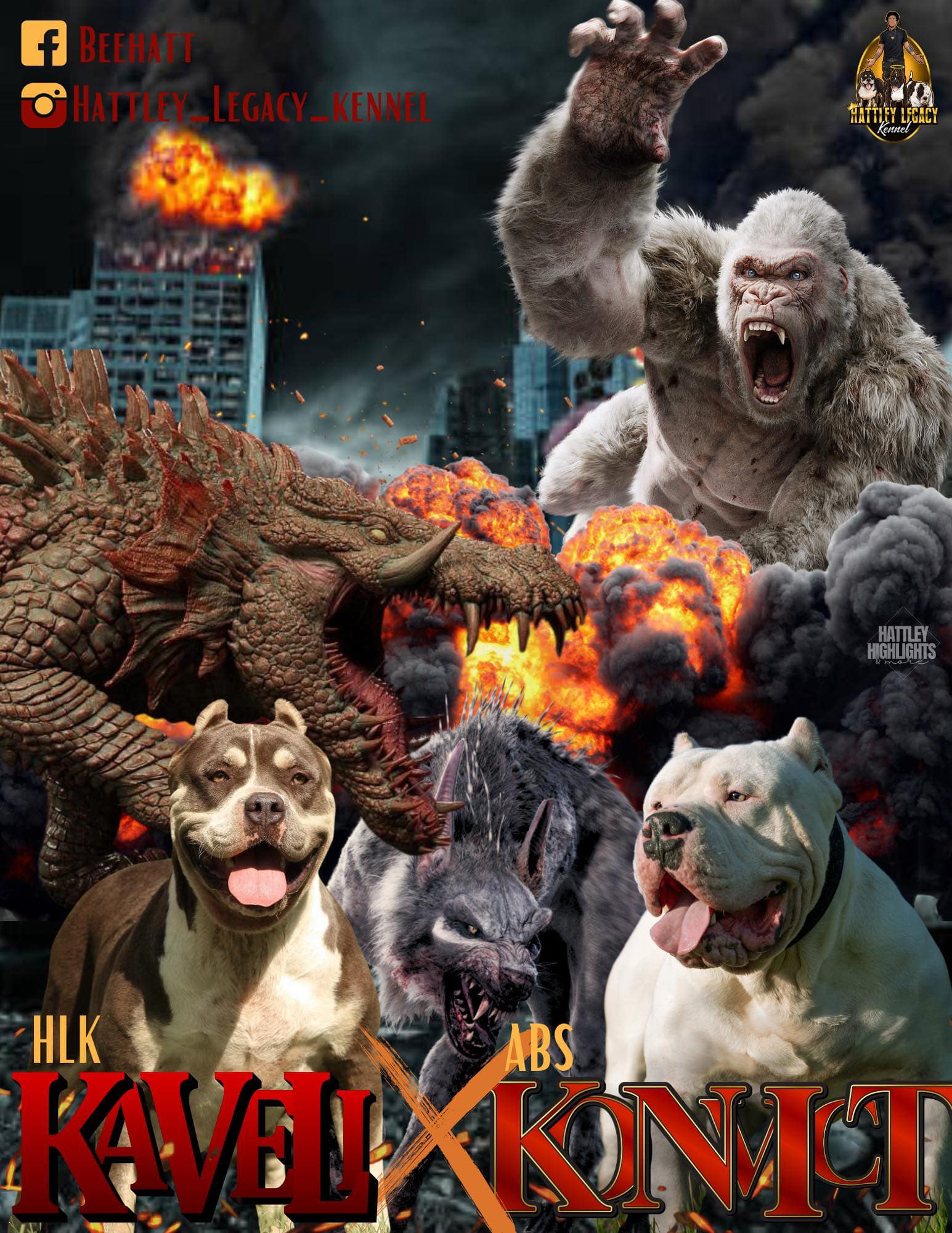 Dog Featured Image