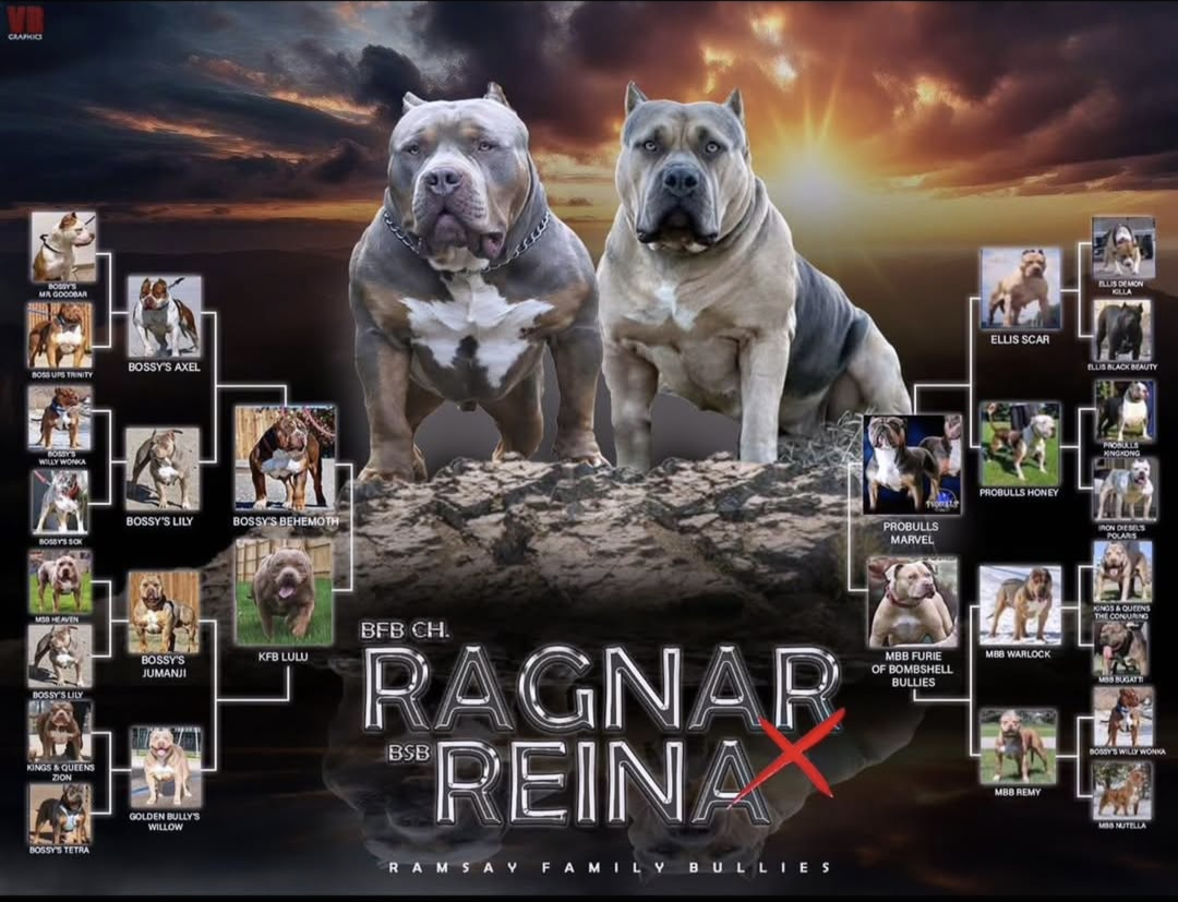 Dog Featured Image