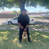 Dog Featured Image