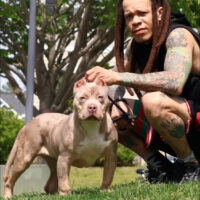 Dog Featured Image