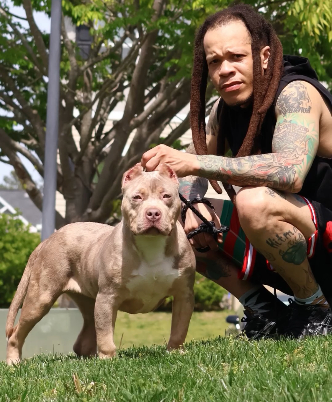 Dog Featured Image
