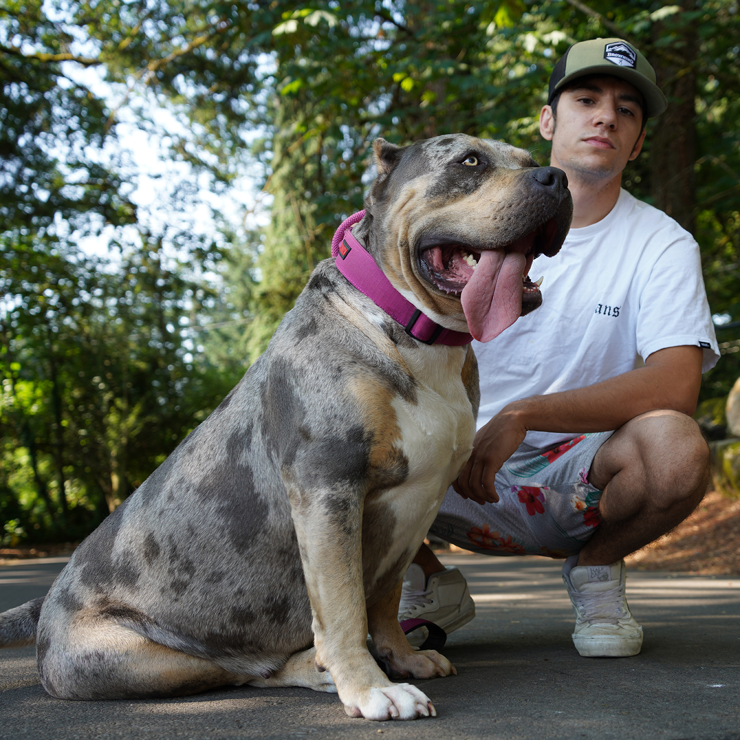 Additional Dog Image