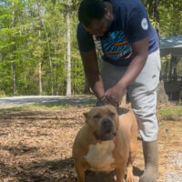Dog Featured Image