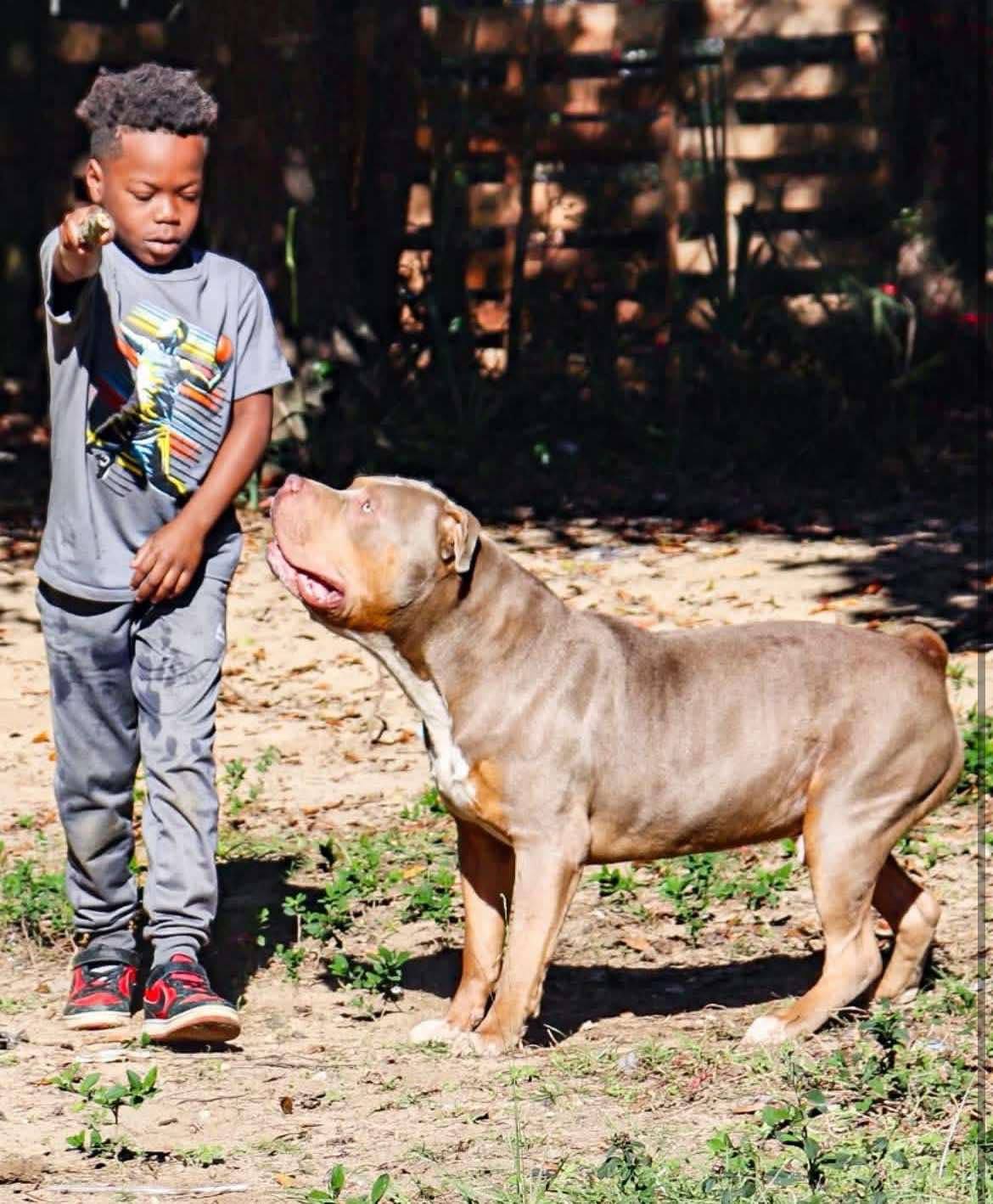 Dog Featured Image