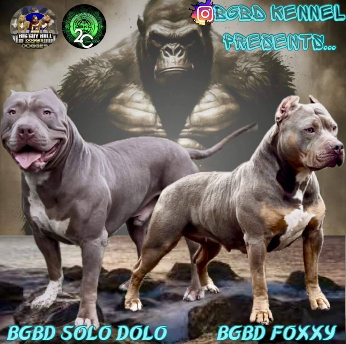Dog Featured Image
