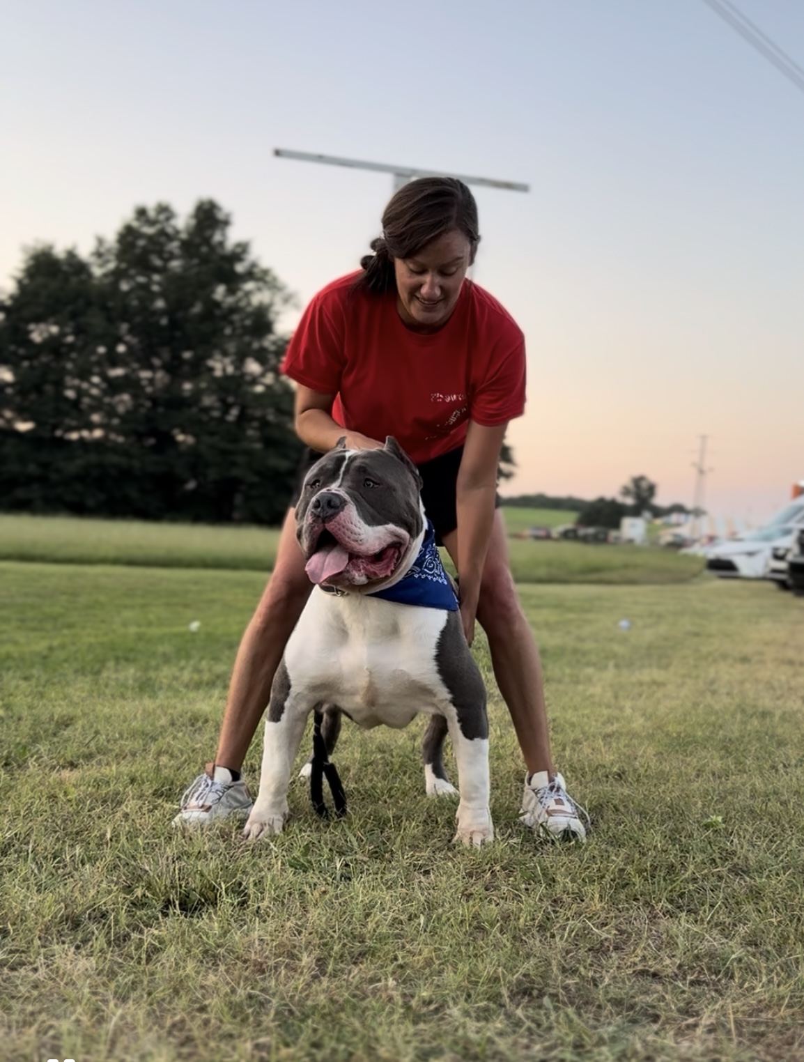 Dog Featured Image
