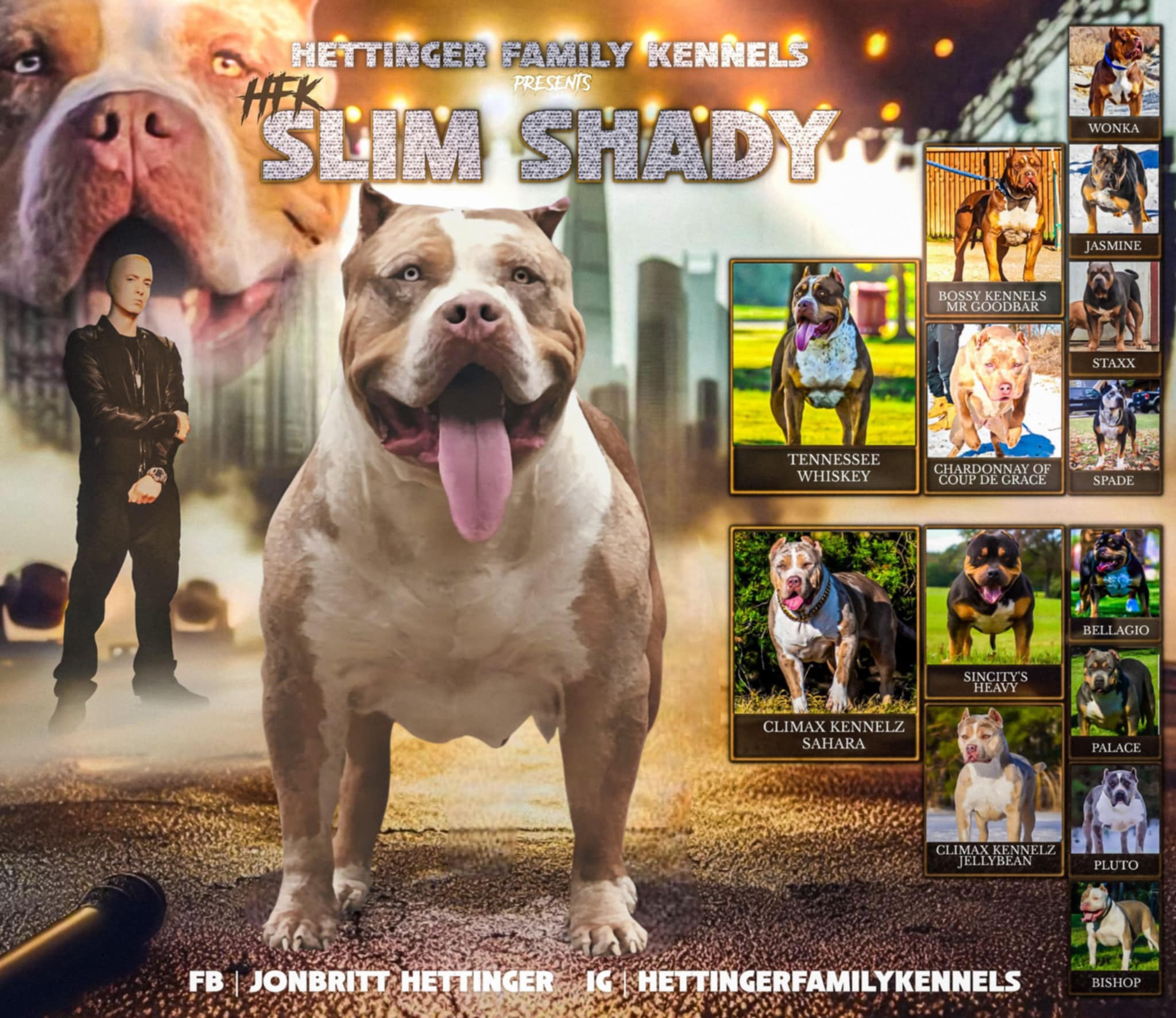 Dog Featured Image