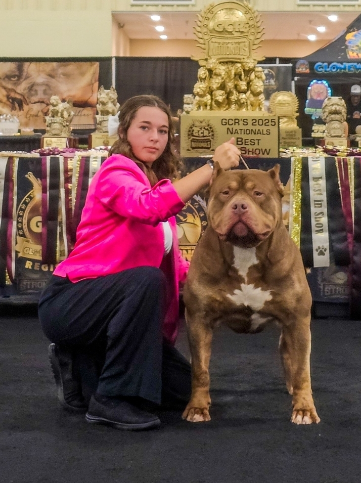 Dog Featured Image